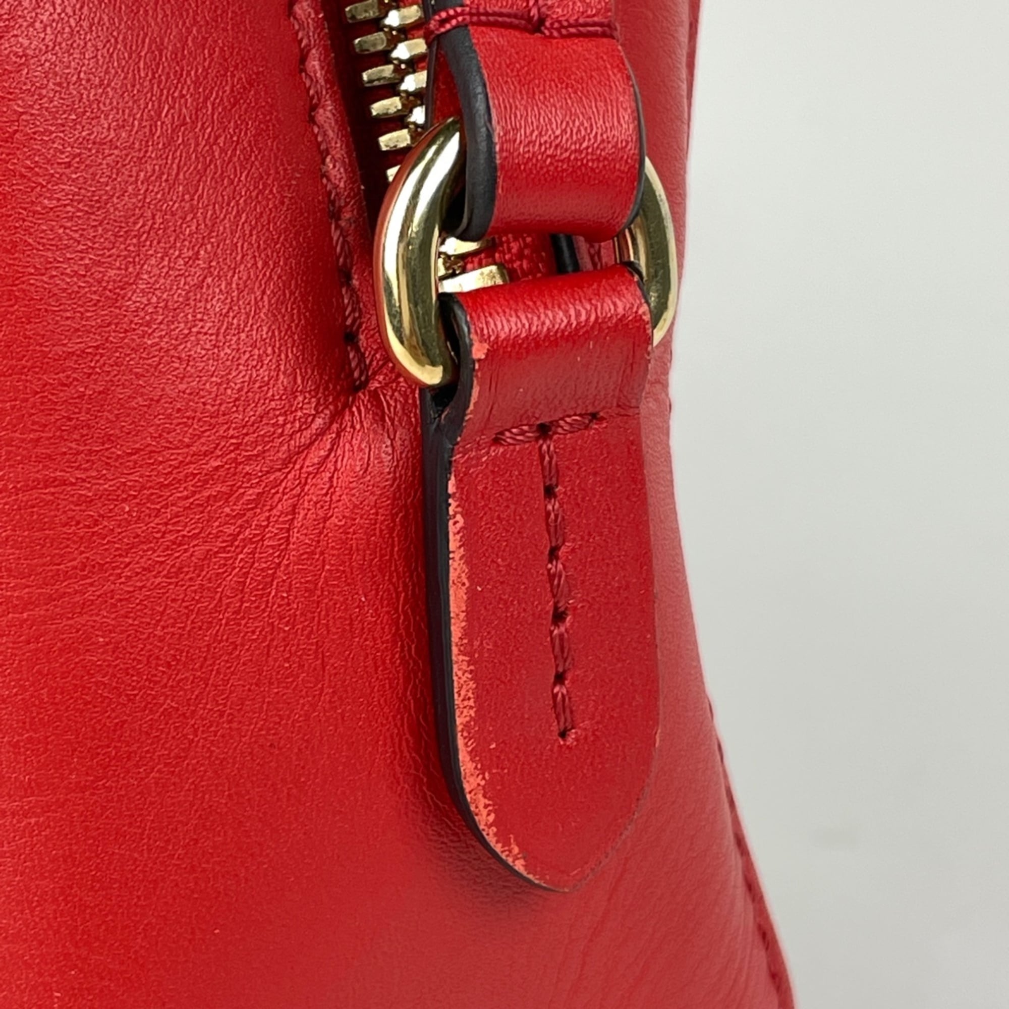 Louis Vuitton Brown Coquelicots Red Color Monogram Shoulder Bag (Pre-Owned)