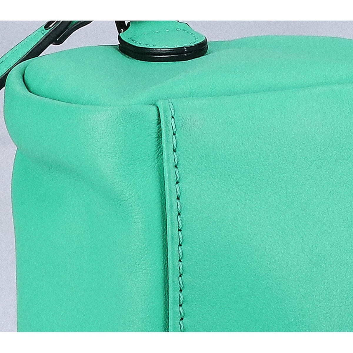 Longchamp Green Leather Crossbody Bag Shoulder Bag (Pre-Owned)