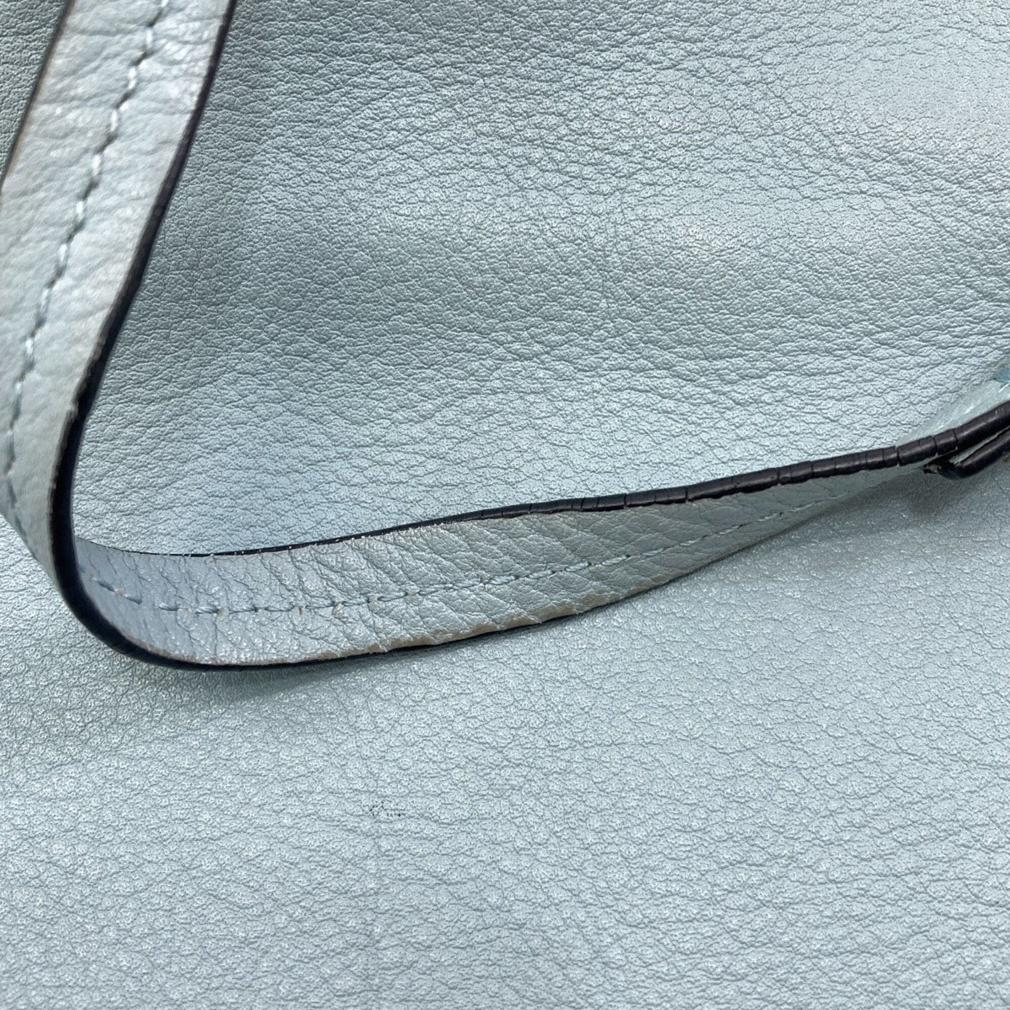 Loewe Light Blue Leather Handbag Pouch (Pre-Owned)