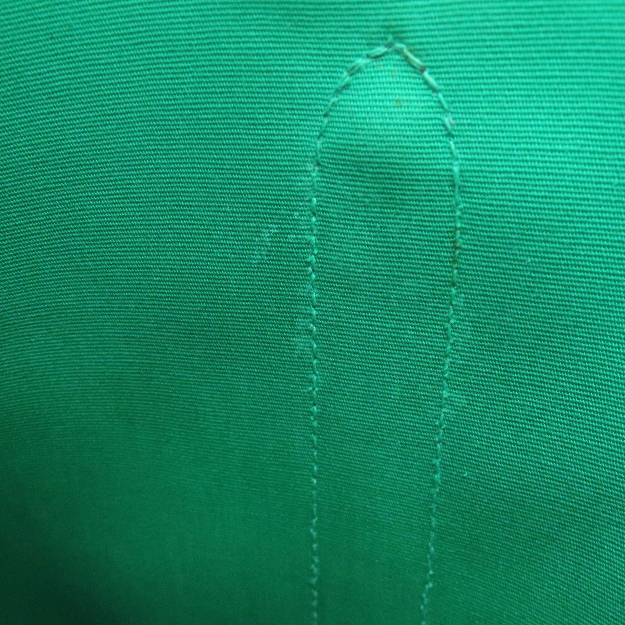 Hermes Garden Green Toile Officier Handbag (Pre-Owned)