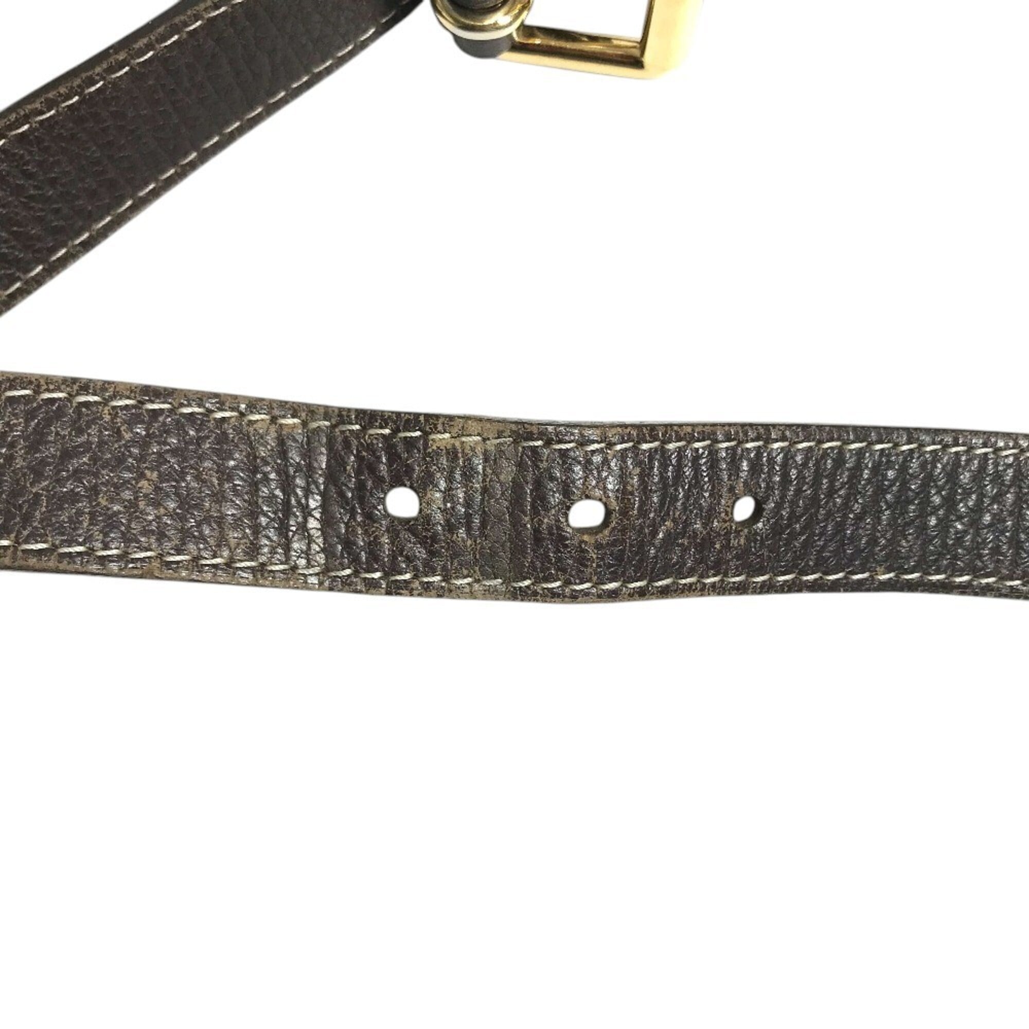 Louis Vuitton Monogram Mini Lin Brown Monogram Mini Lin Shoulder Bag (Pre-Owned)