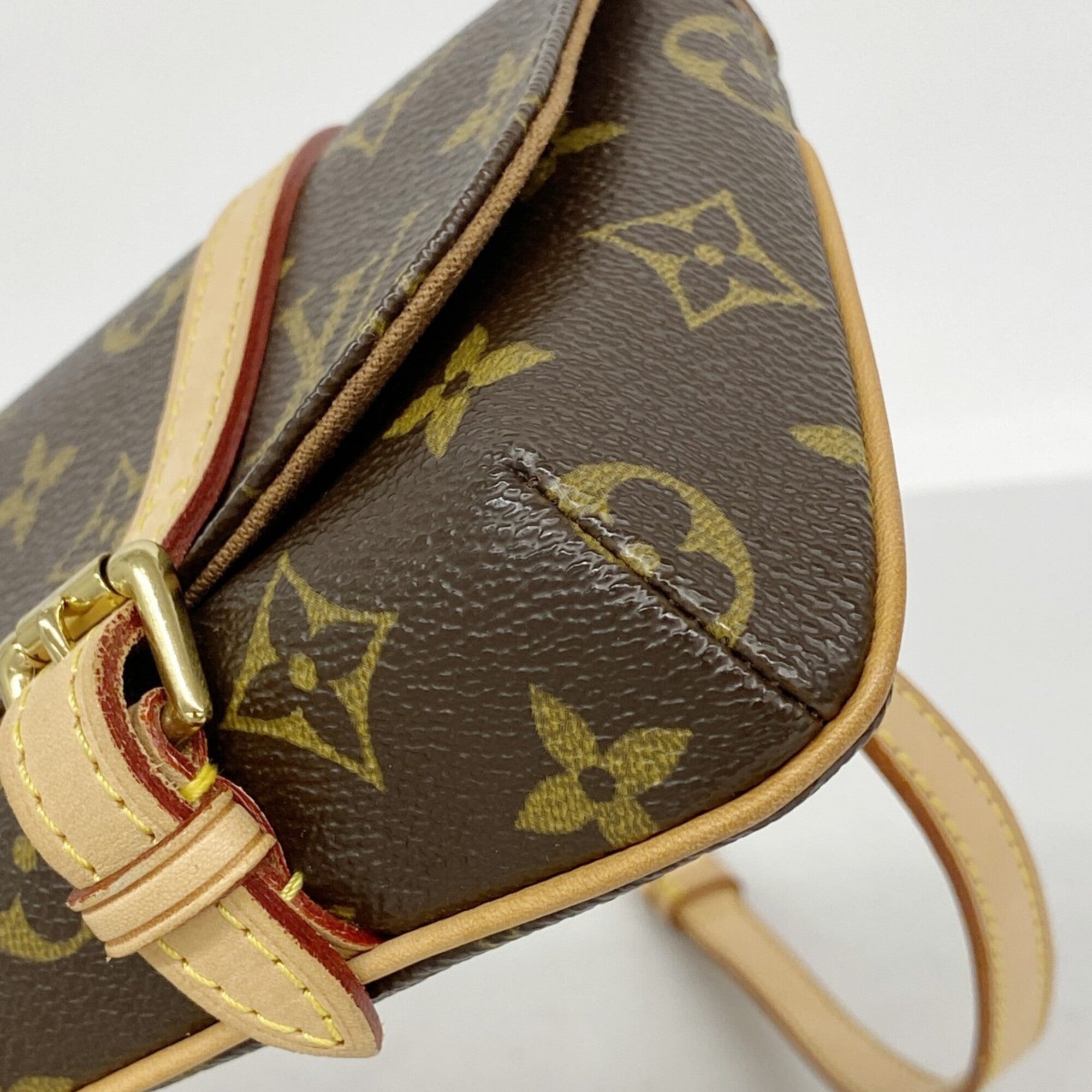 Louis Vuitton Brown Fanny Pack (Pre-Owned)