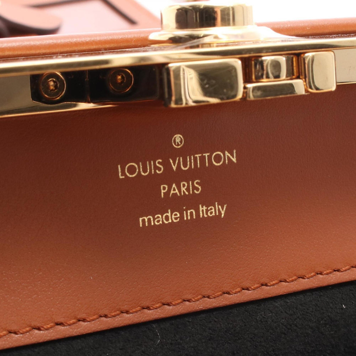 Louis Vuitton Brown Coated Canvas Pvc Monogram Reverse Leather Handbag Shoulder Bag (Pre-Owned)