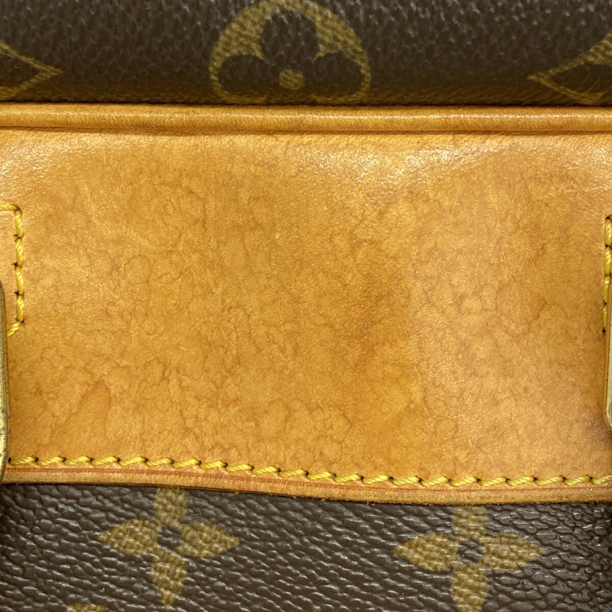 Louis Vuitton Brown Handbag (Pre-Owned)