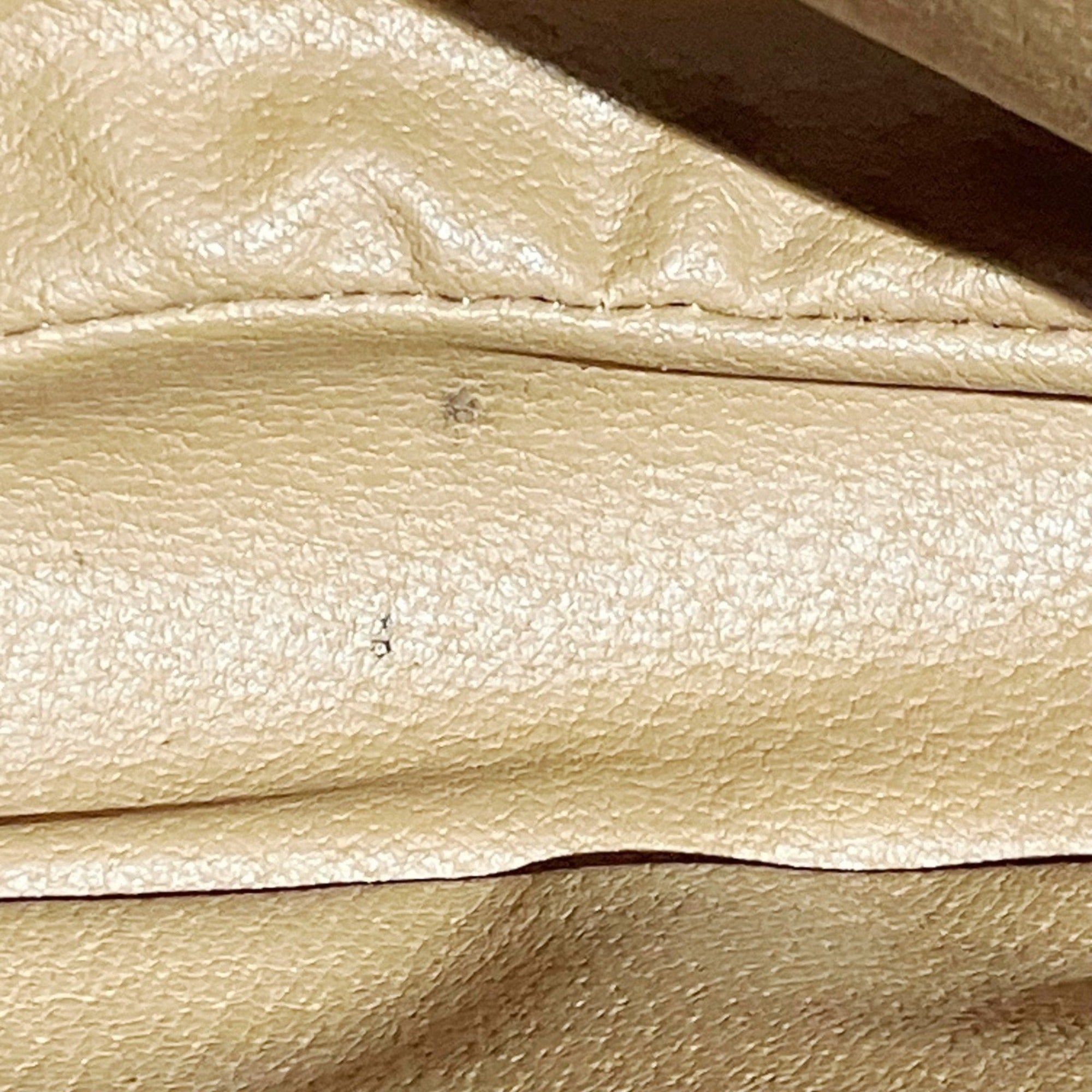 Celine Brown Canvas Pvc Tote Bag (Pre-Owned)