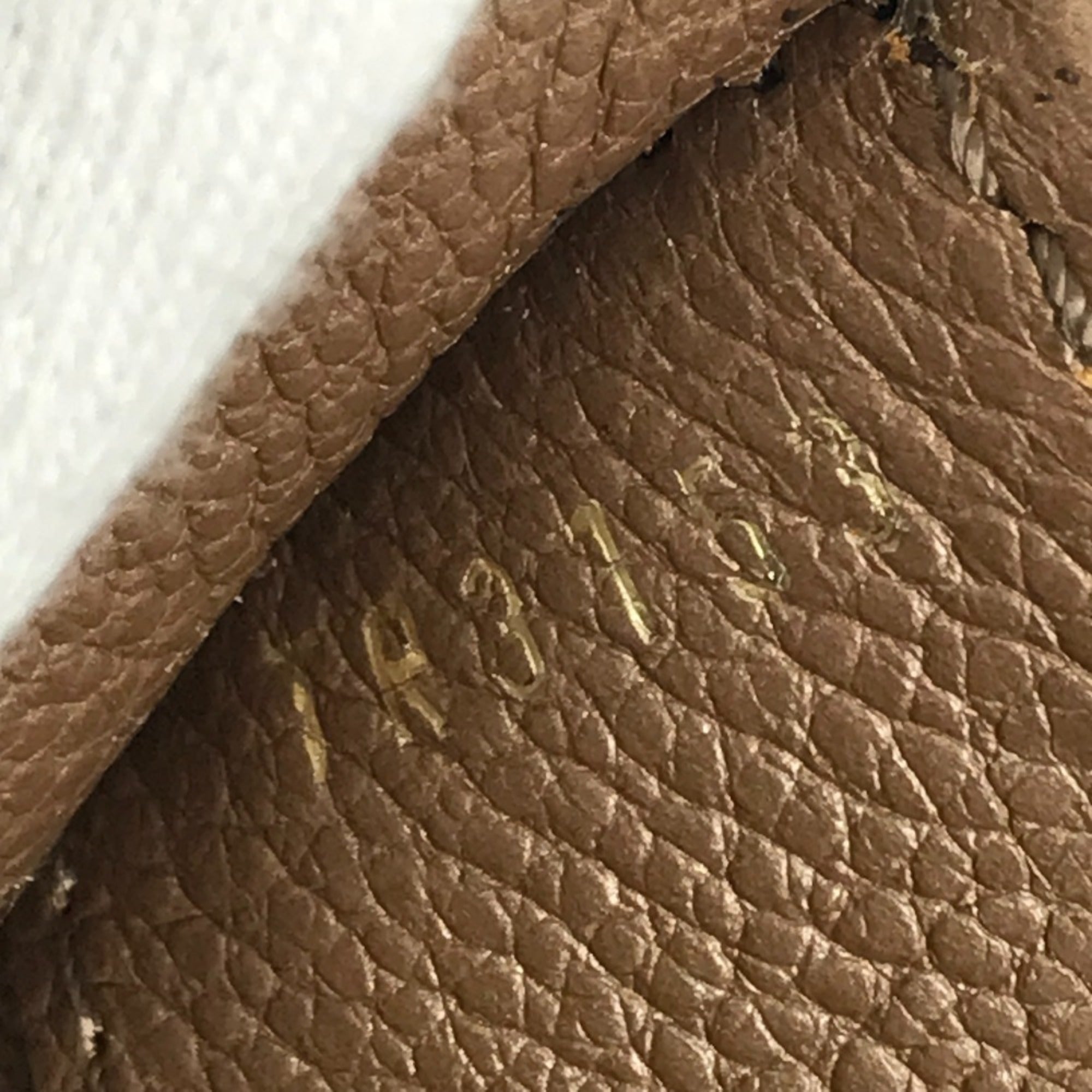 Louis Vuitton Monogram Empreinte Brown Monogram Empreinte Handbag Shoulder Bag (Pre-Owned)