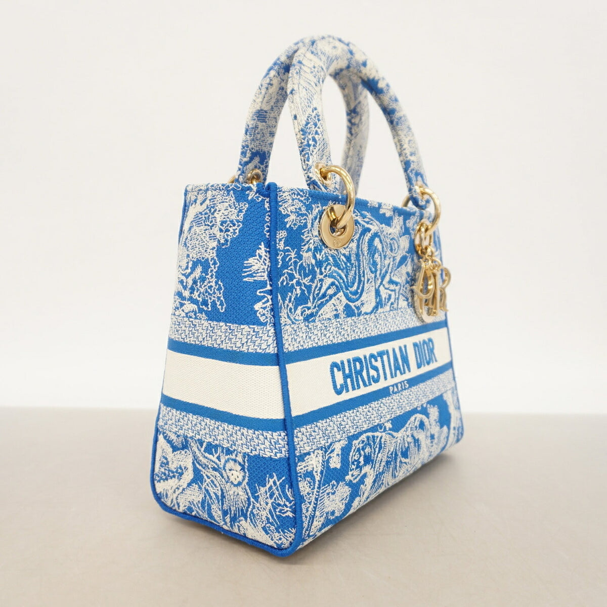 Christian Dior Blue White Canvas Handbag (Pre-Owned)