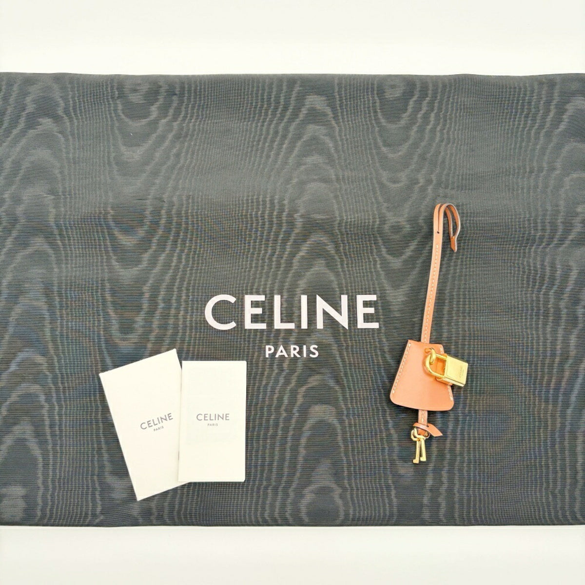 Celine Canvas Leather Tote Bag (Pre-Owned)