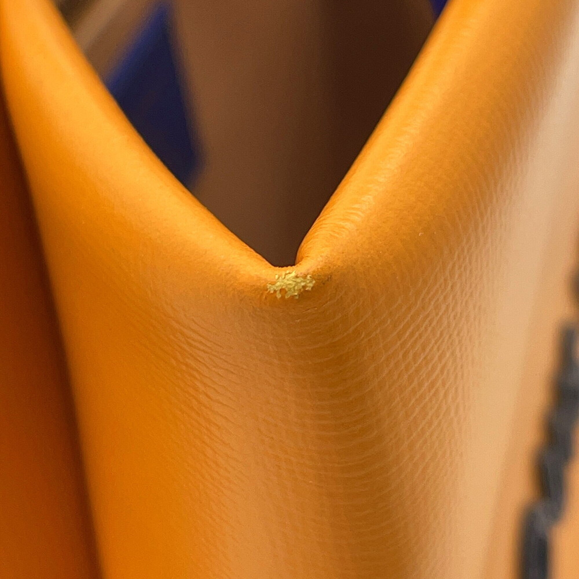 Louis Vuitton Saffron Leather Handbag Tote Bag (Pre-Owned)