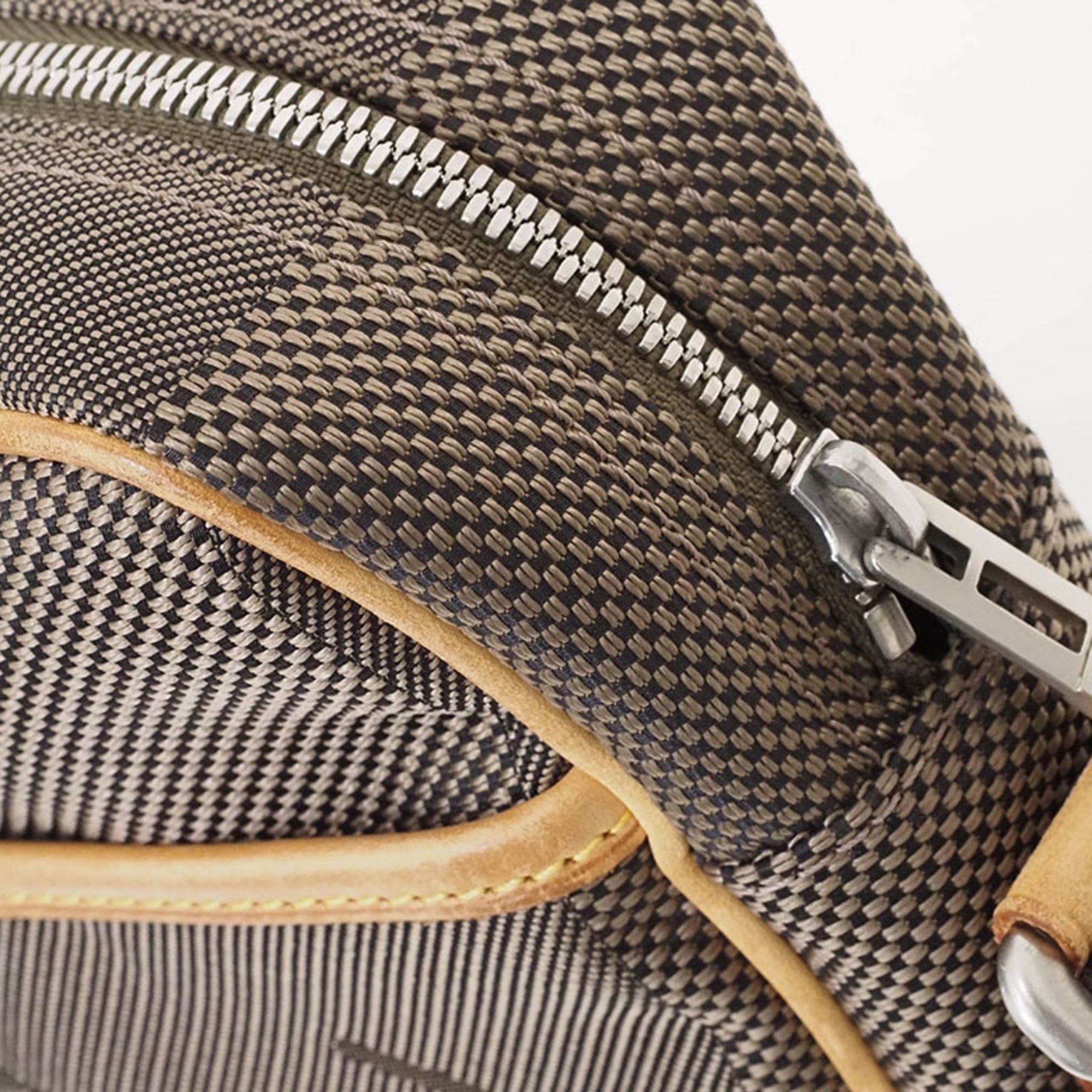 Louis Vuitton Earth Damier Geant Shoulder Bag (Pre-Owned)