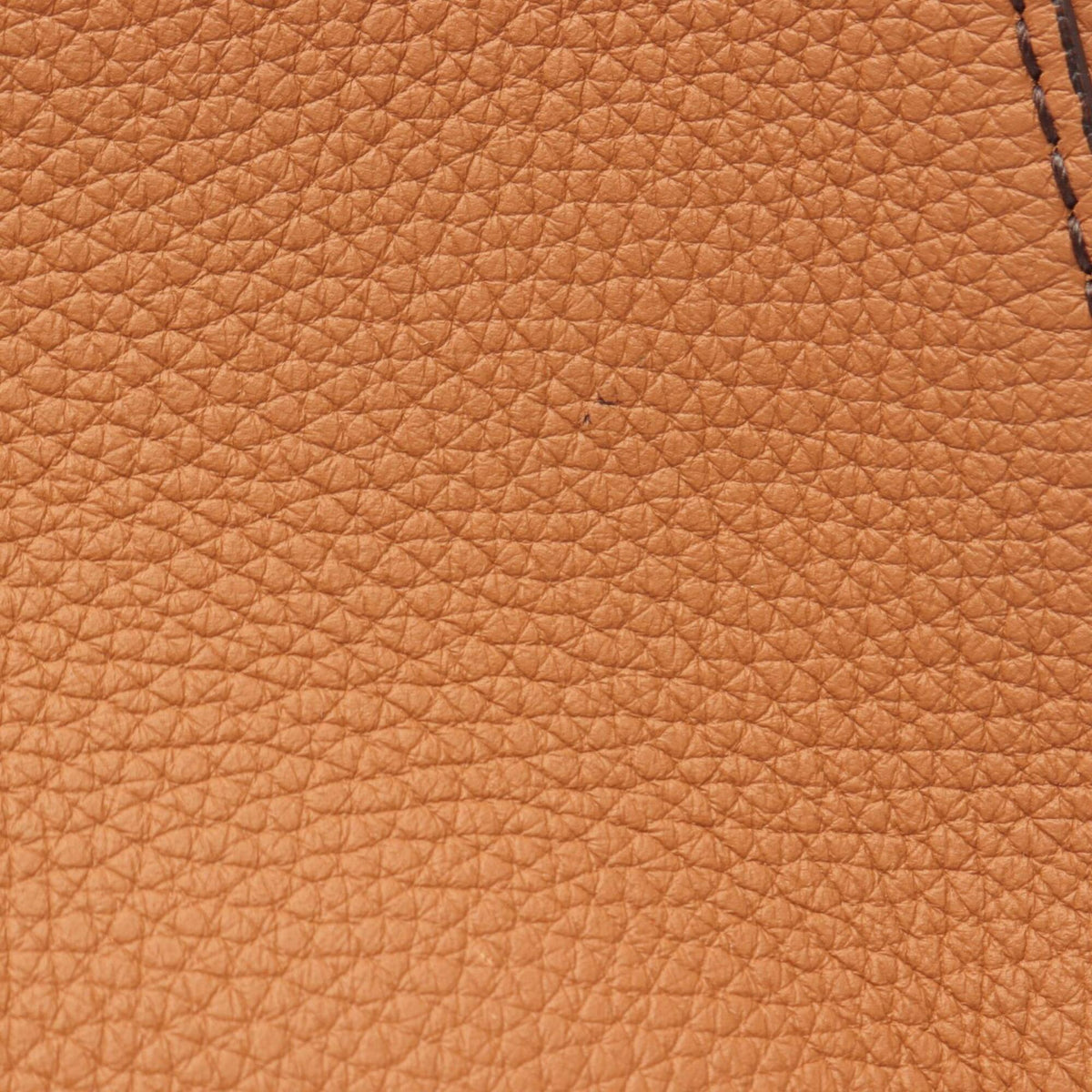 Christian Dior Brown Leather Handbag (Pre-Owned)