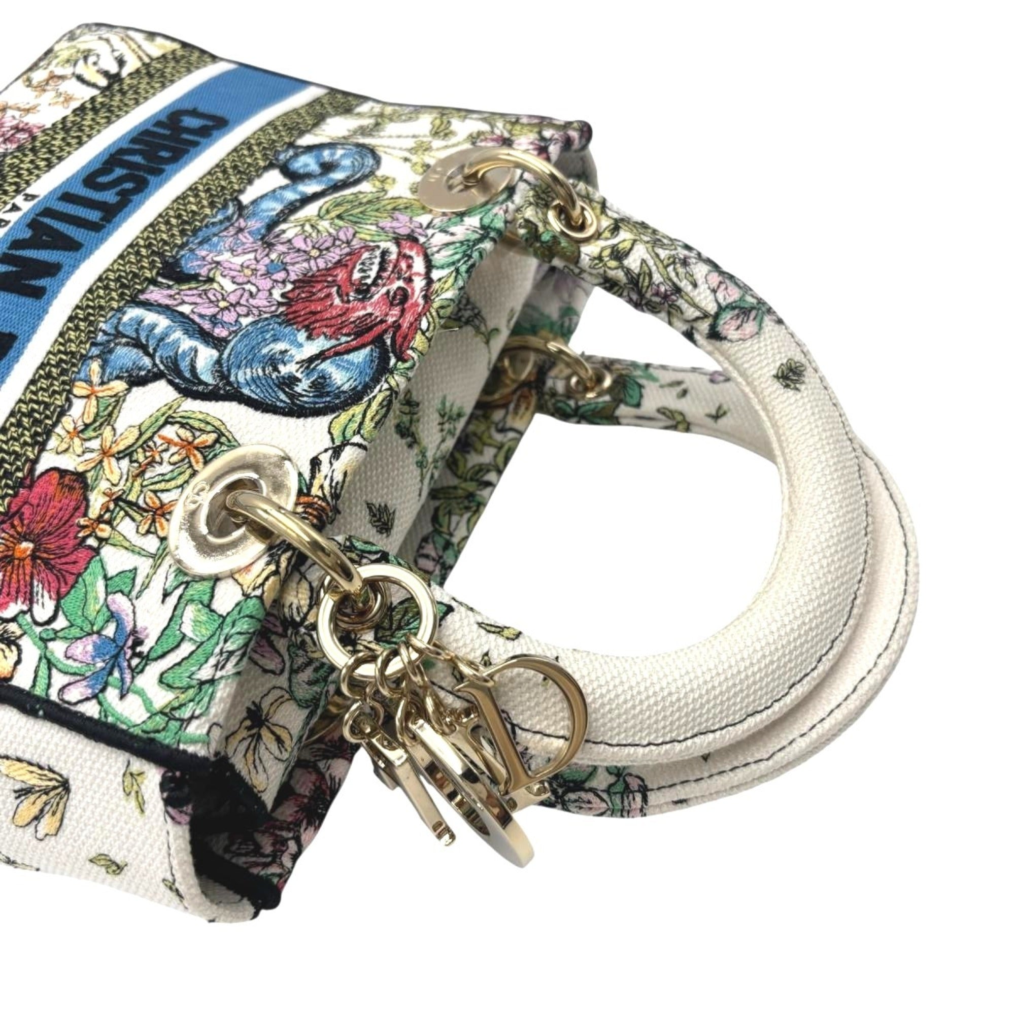 Christian Dior Lady Dior Multi-Color Canvas Handbag (Pre-Owned)