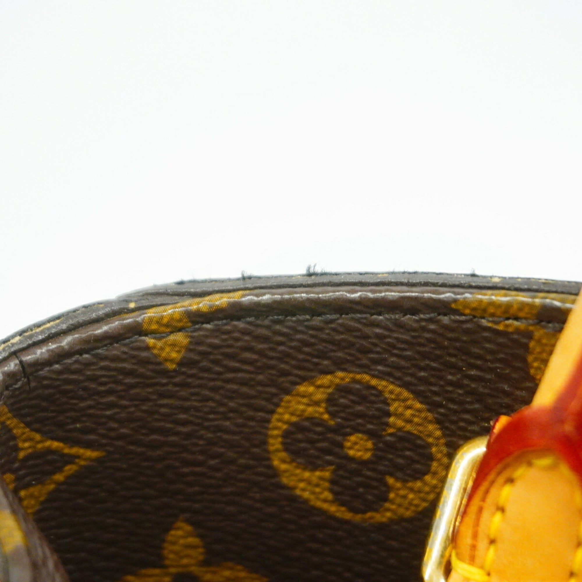 Louis Vuitton Brown Handbag (Pre-Owned)