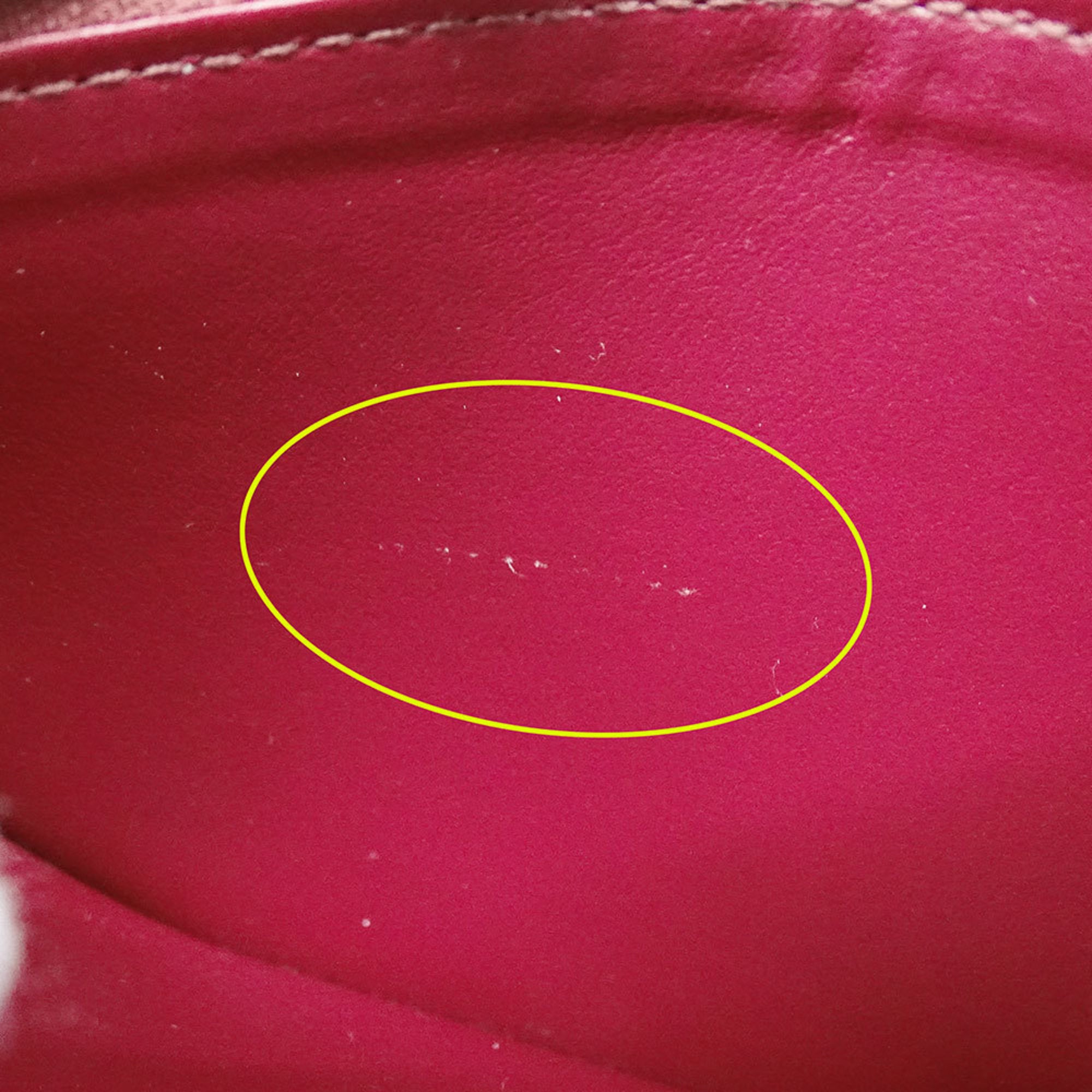 Louis Vuitton Monogram Fuchsia Monogram (Pre-Owned)