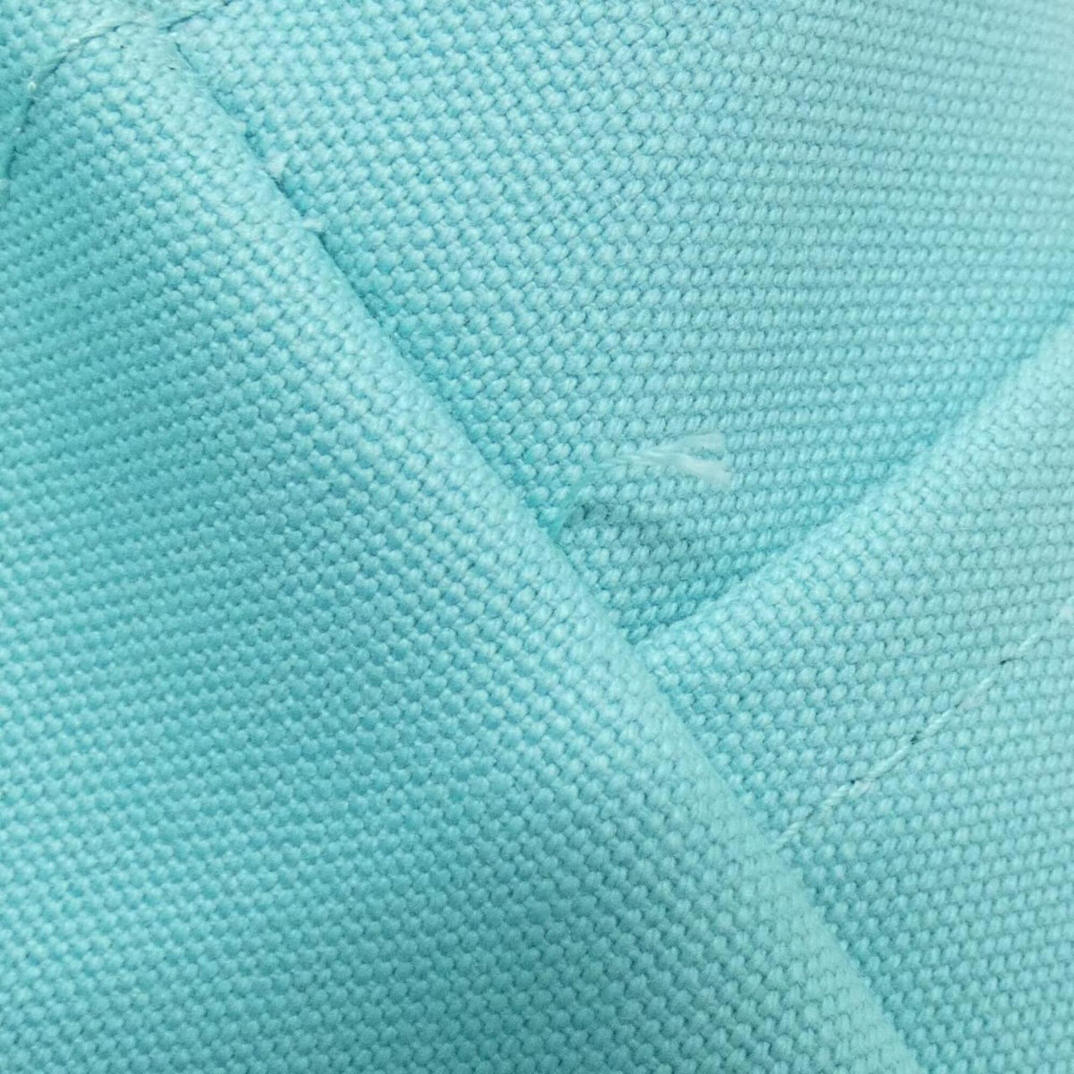 Tiffany Tiffany Blue Canvas Leather Handbag (Pre-Owned)