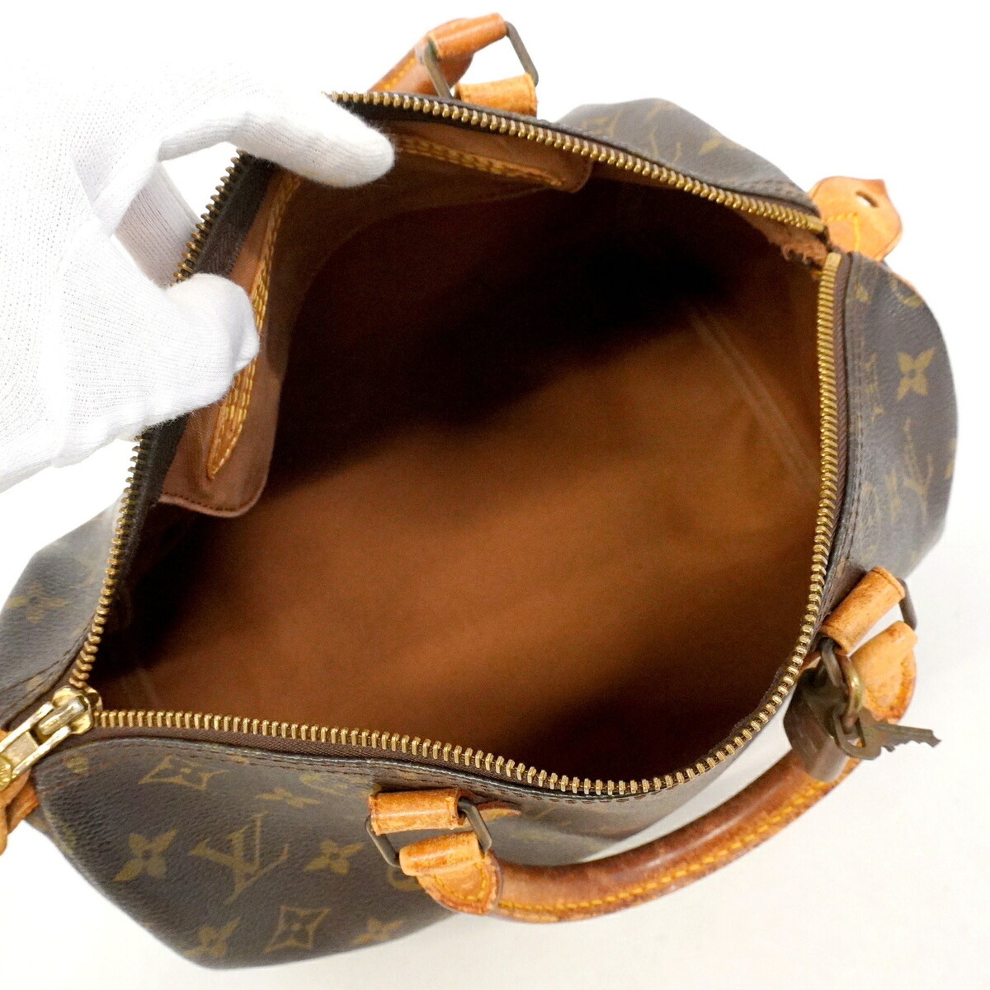 Louis Vuitton Brown Handbag (Pre-Owned)