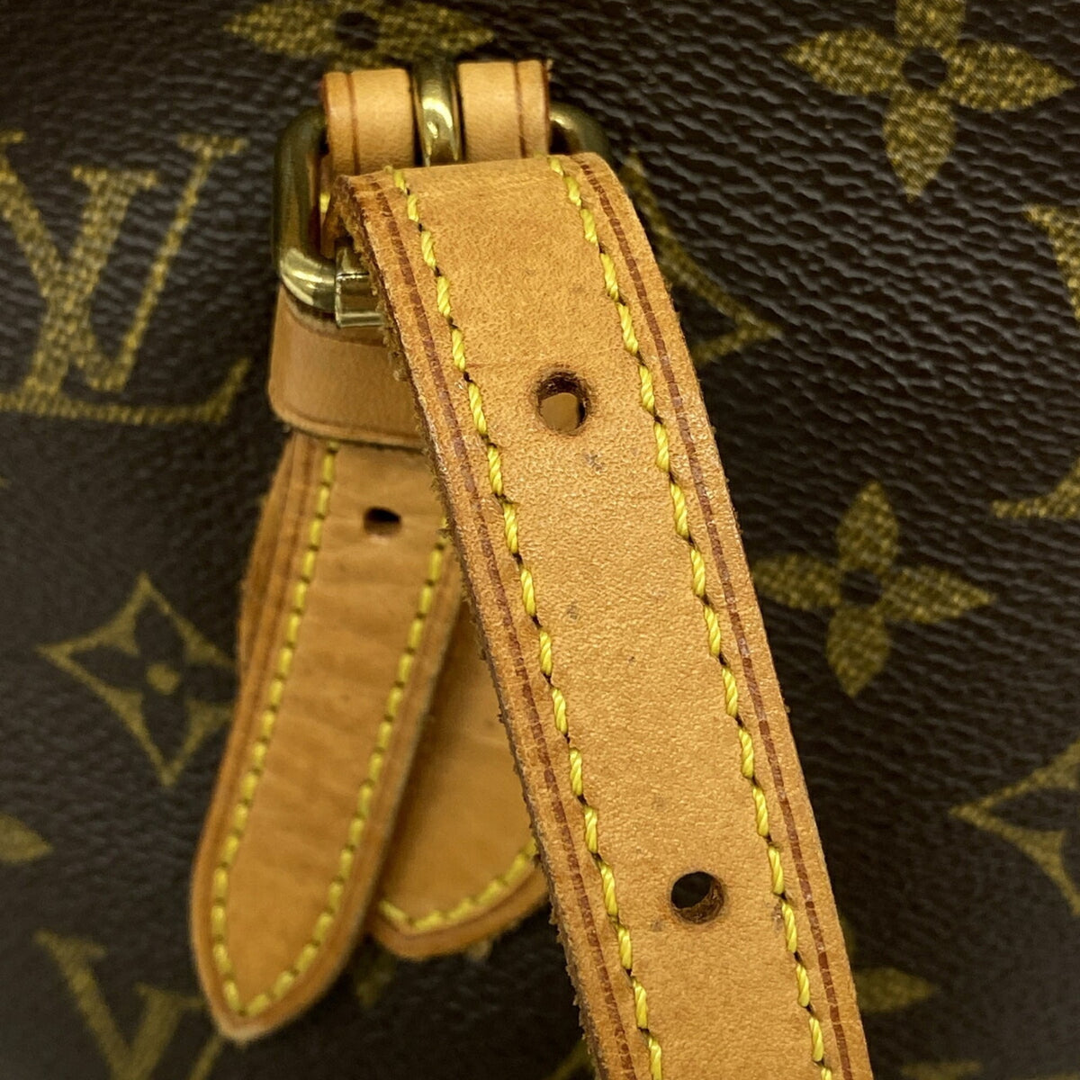 Louis Vuitton Brown Tote Bag (Pre-Owned)