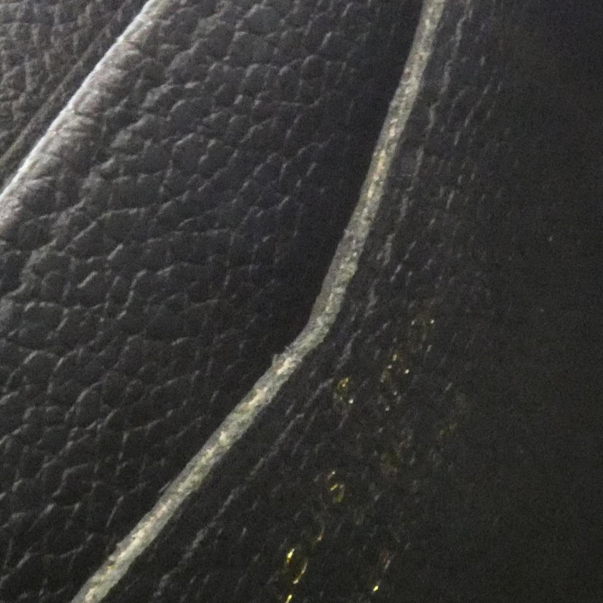 Louis Vuitton Black Leather Coin Purse/Coin Case (Pre-Owned)