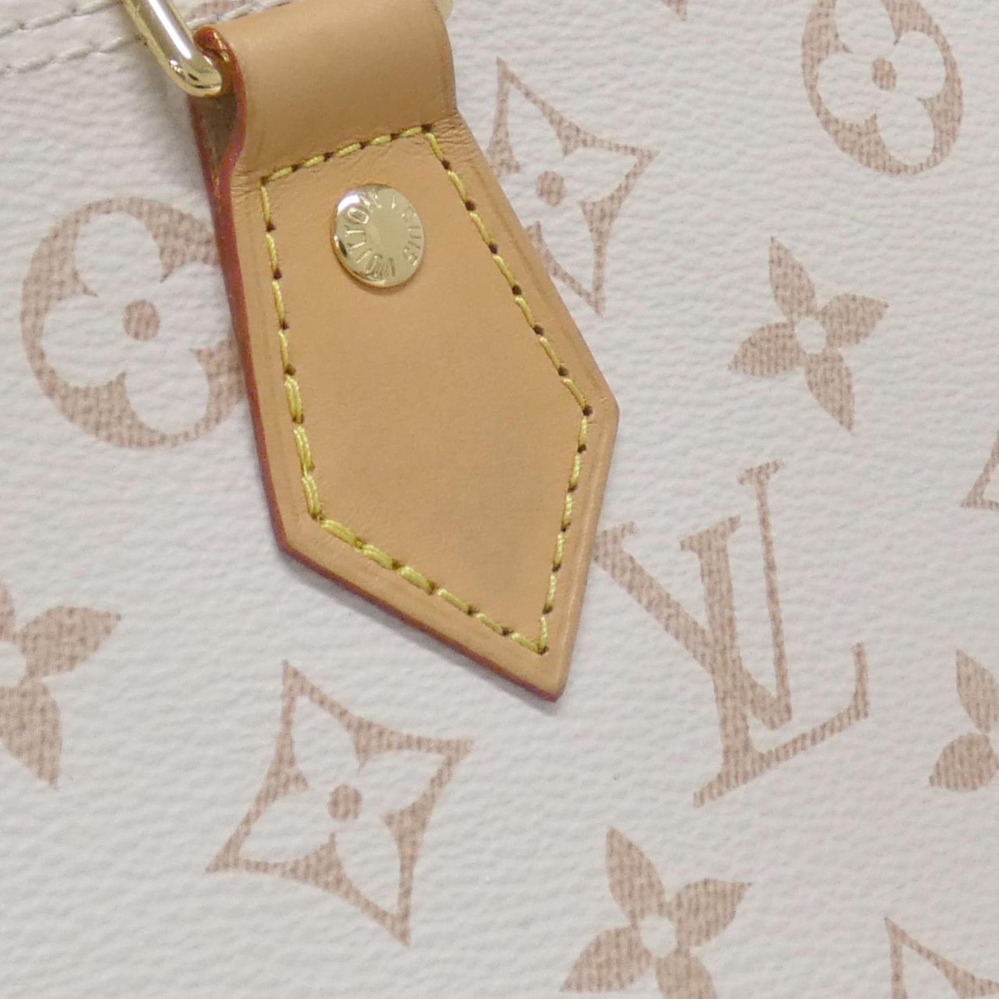 Louis Vuitton Dune Coated Canvas Handbag (Pre-Owned)