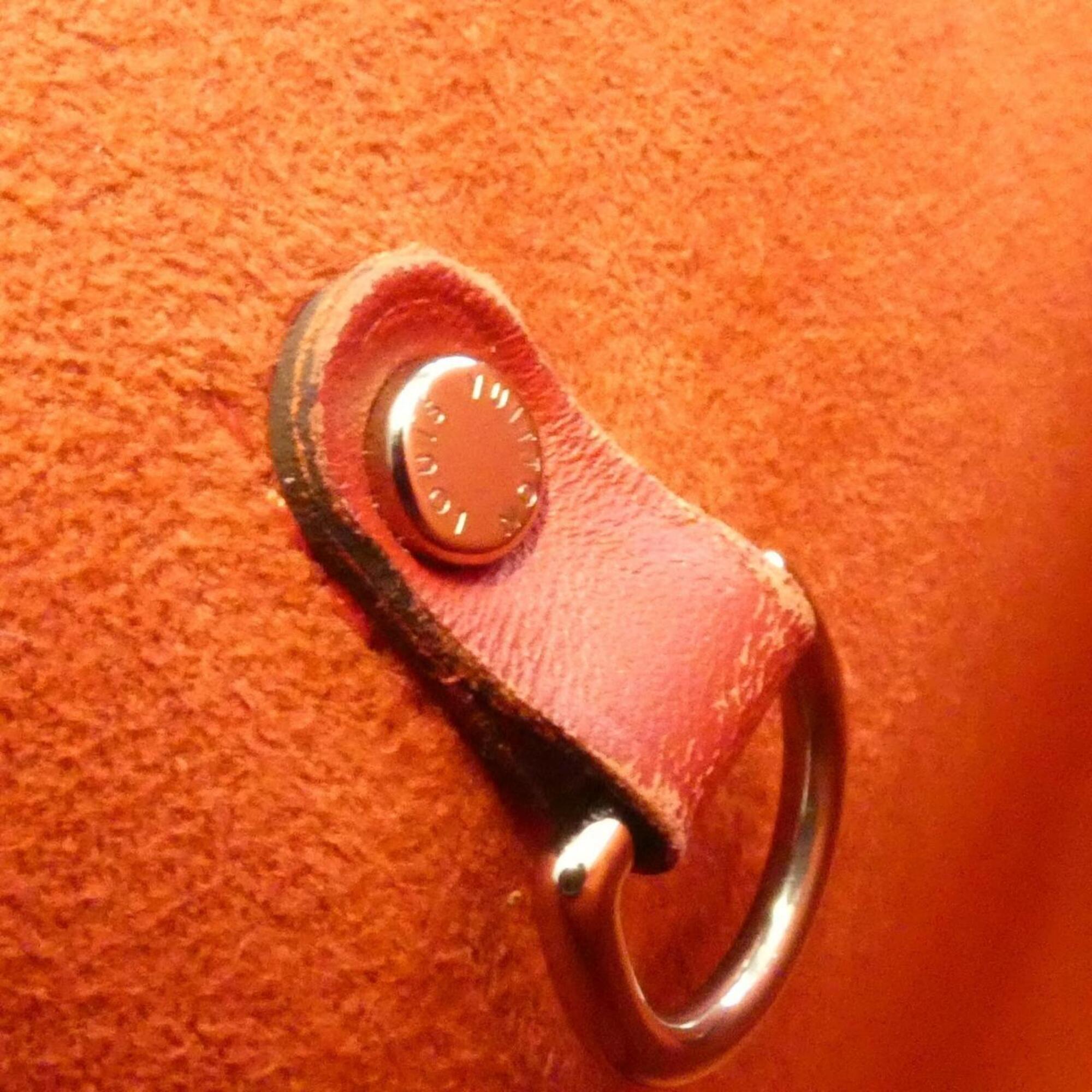 Louis Vuitton Fuchsia Leather Handbag (Pre-Owned)