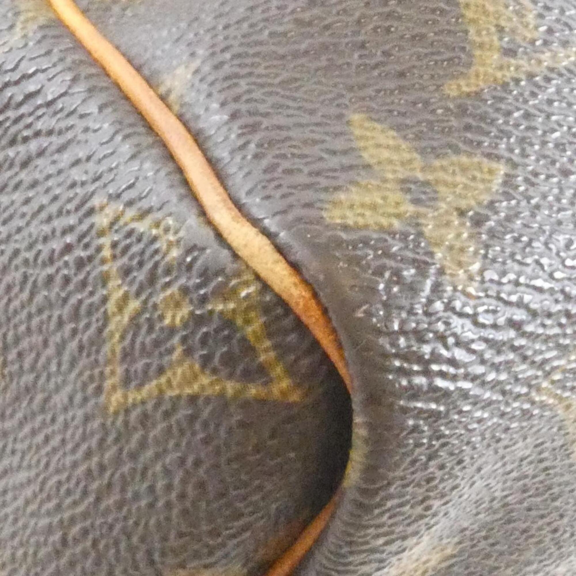 Louis Vuitton Marron Coated Canvas Boston Bag (Pre-Owned)