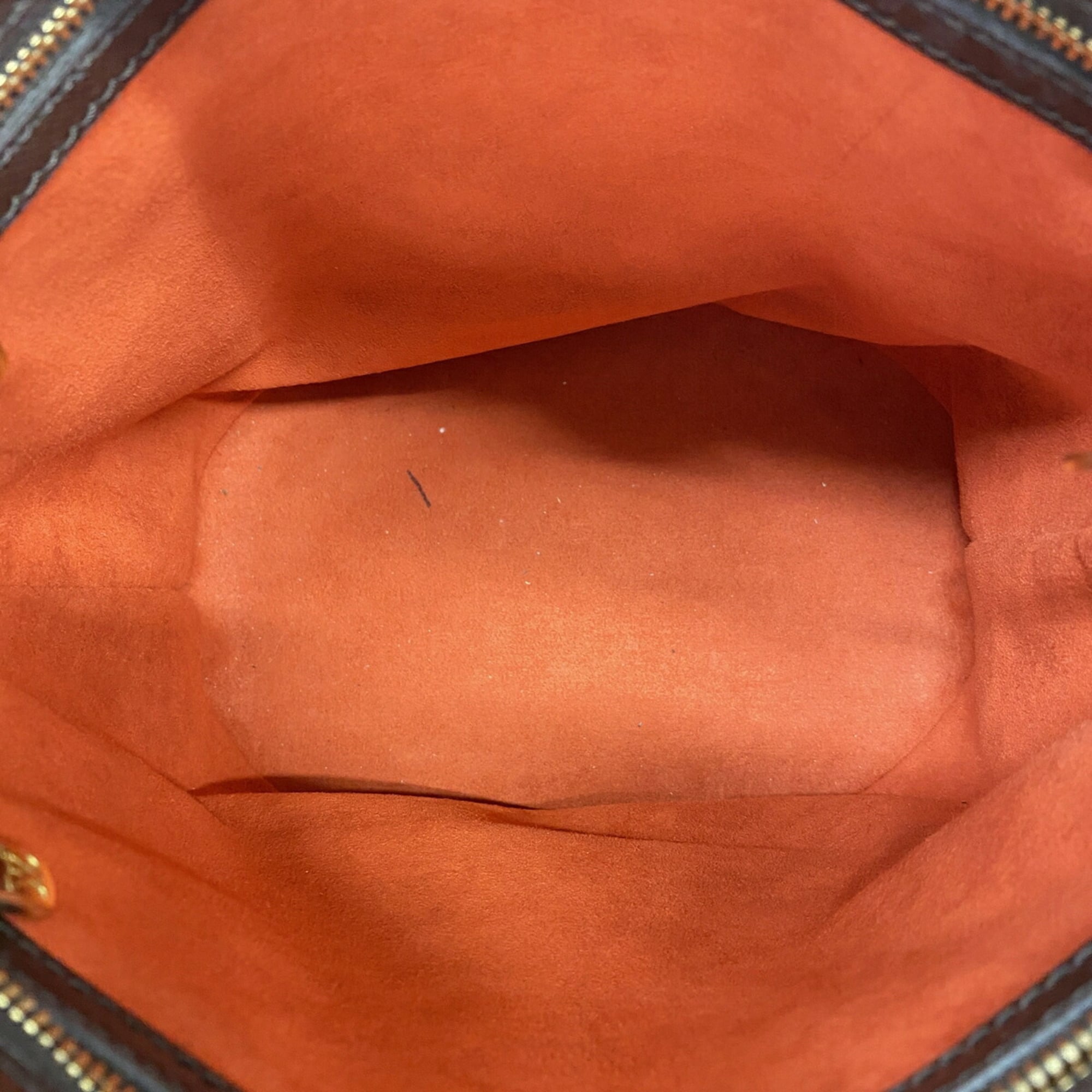 Louis Vuitton Ebene Tote Bag (Pre-Owned)
