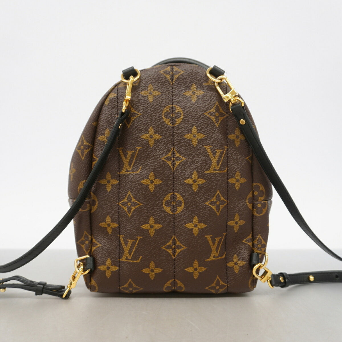 Louis Vuitton Brown Backpack (Pre-Owned)