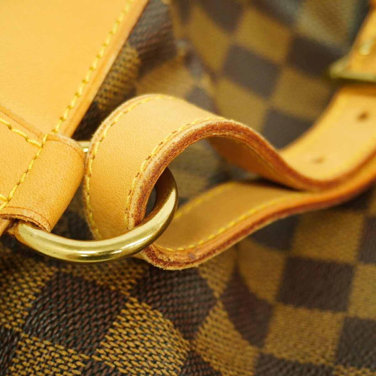Louis Vuitton Ebene Backpack (Pre-Owned)