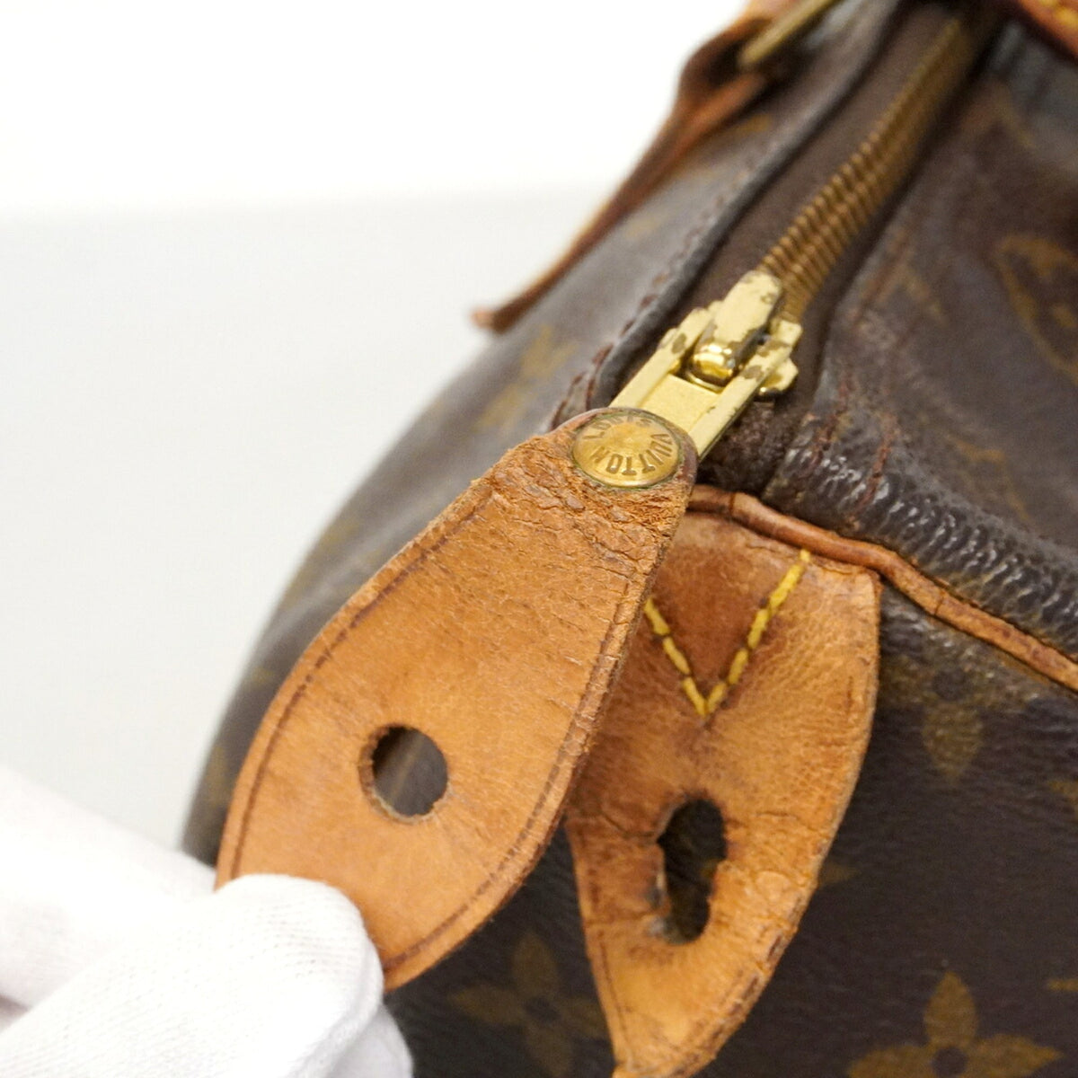 Louis Vuitton Brown Handbag (Pre-Owned)
