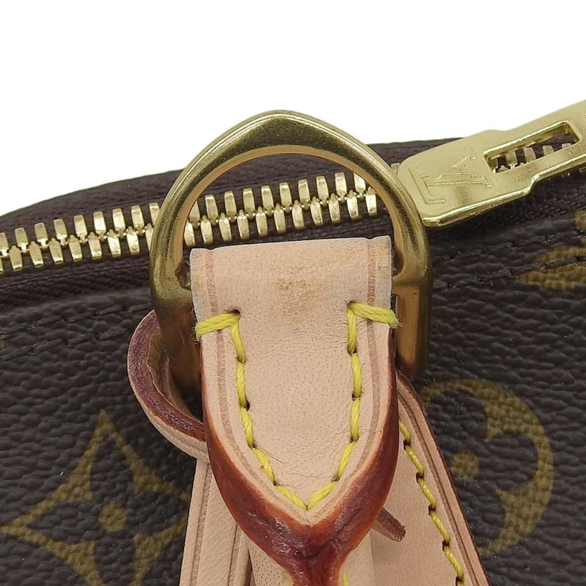 Louis Vuitton Monogram Pvc Leather Handbag (Pre-Owned)