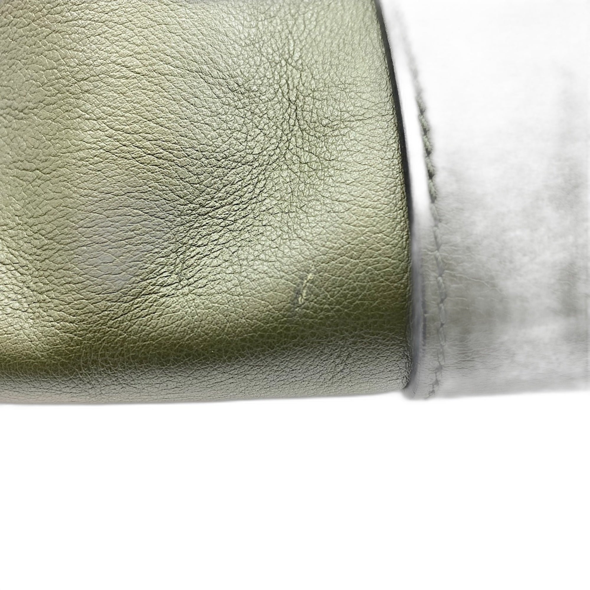 Loewe Amazona Green Leather Handbag (Pre-Owned)