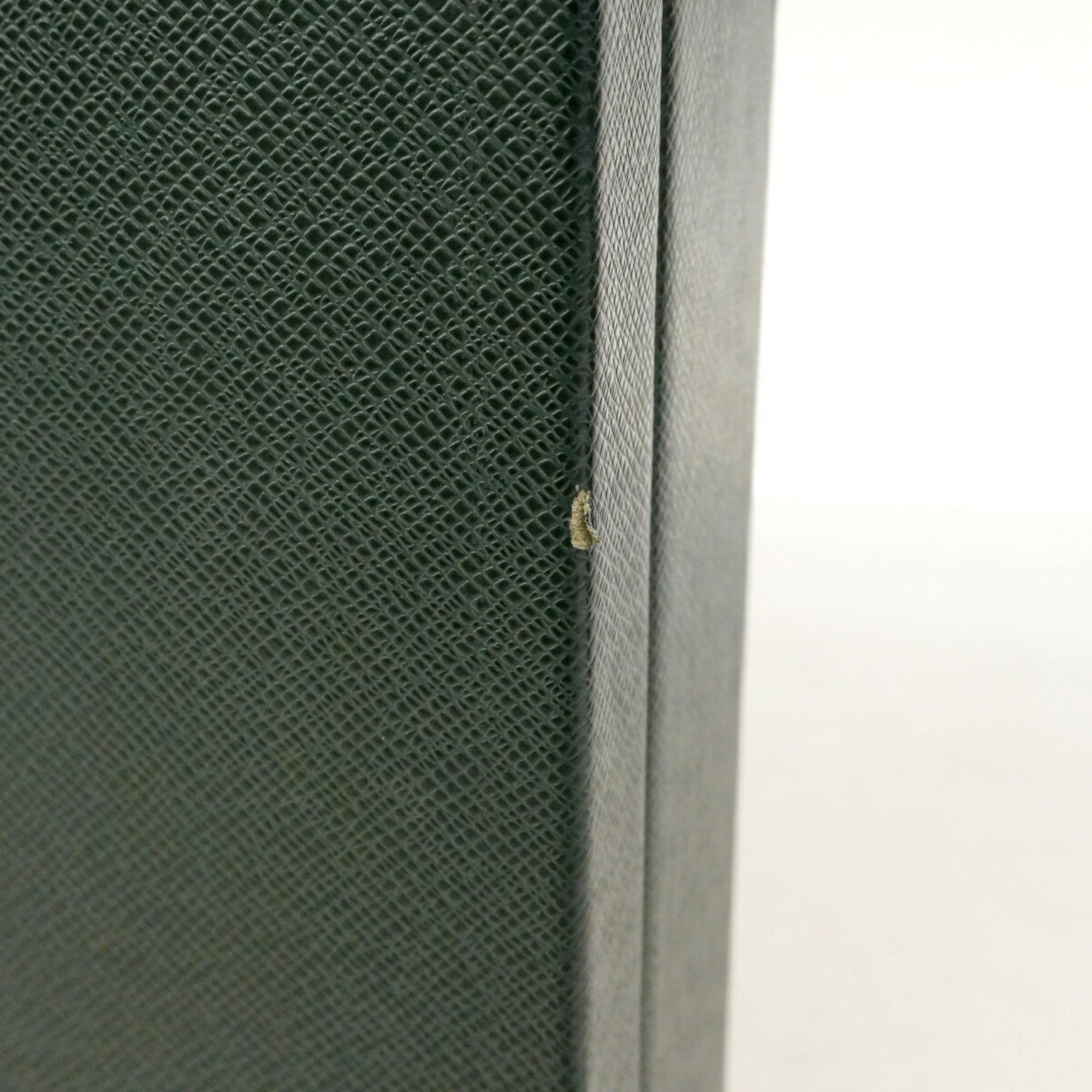 Louis Vuitton Episea Attaché Case (Pre-Owned)