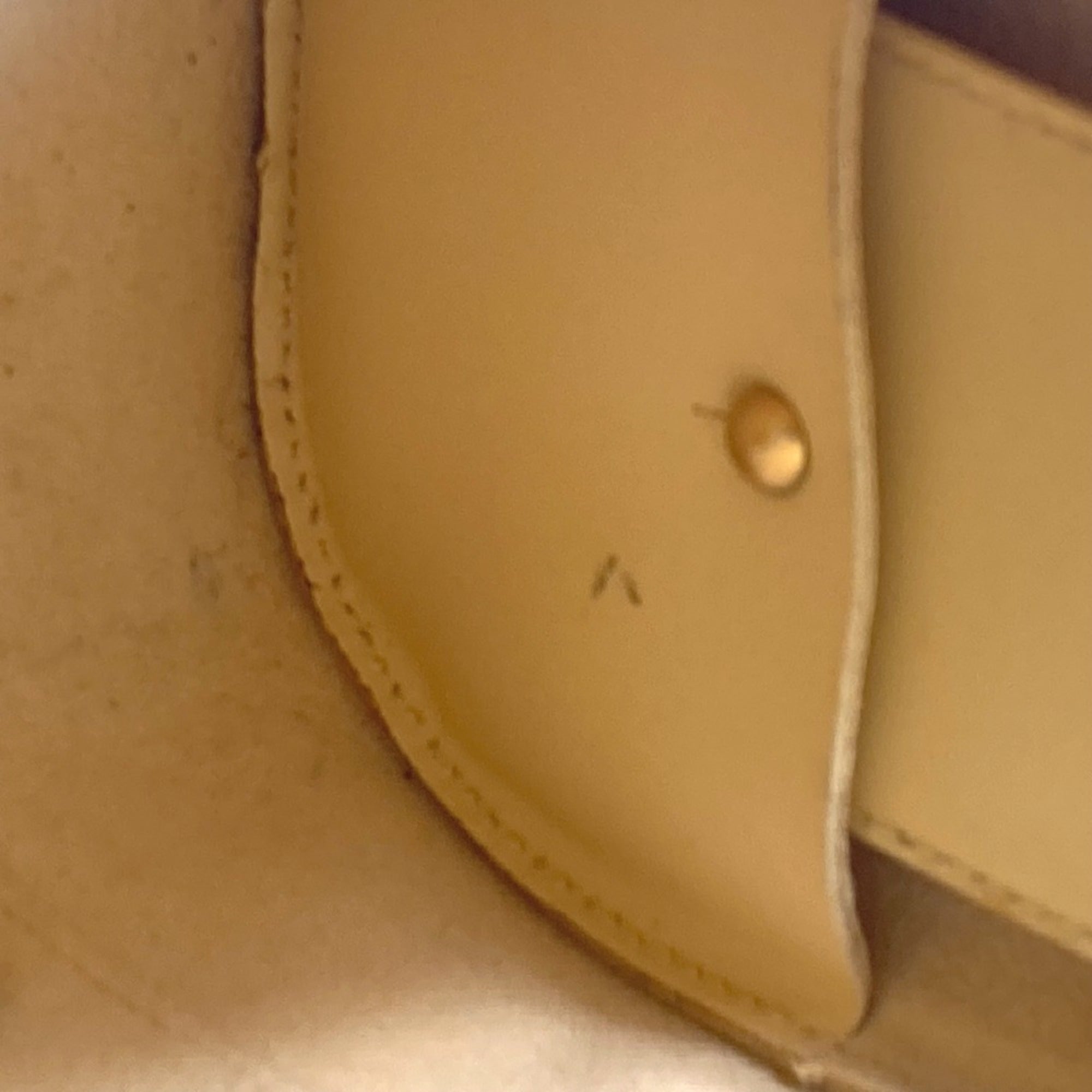 Louis Vuitton Epi Vanilla Yellow Epi Leather Shoulder Bag (Pre-Owned)