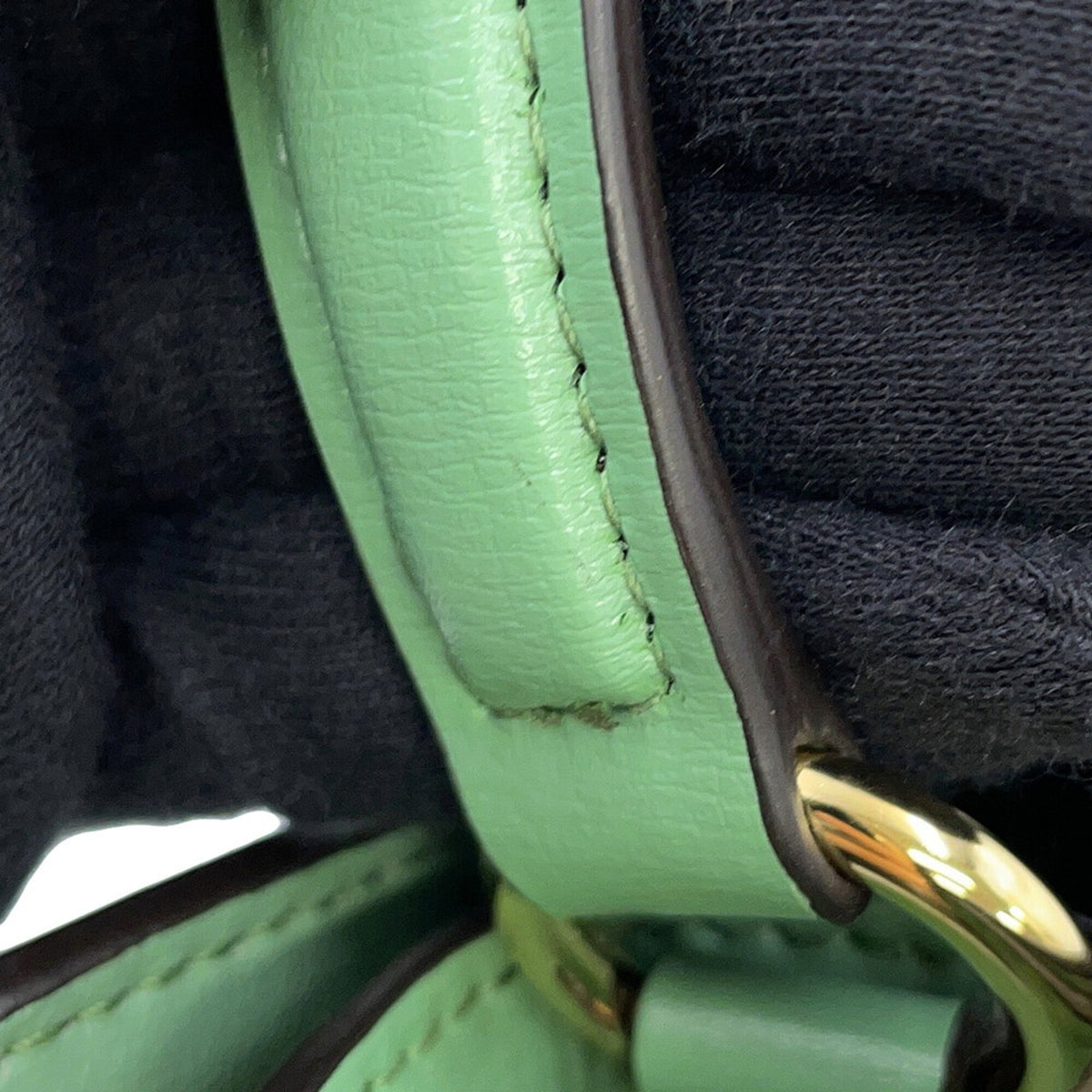 Salvatore Ferragamo Light Green Leather Shoulder Bag (Pre-Owned)