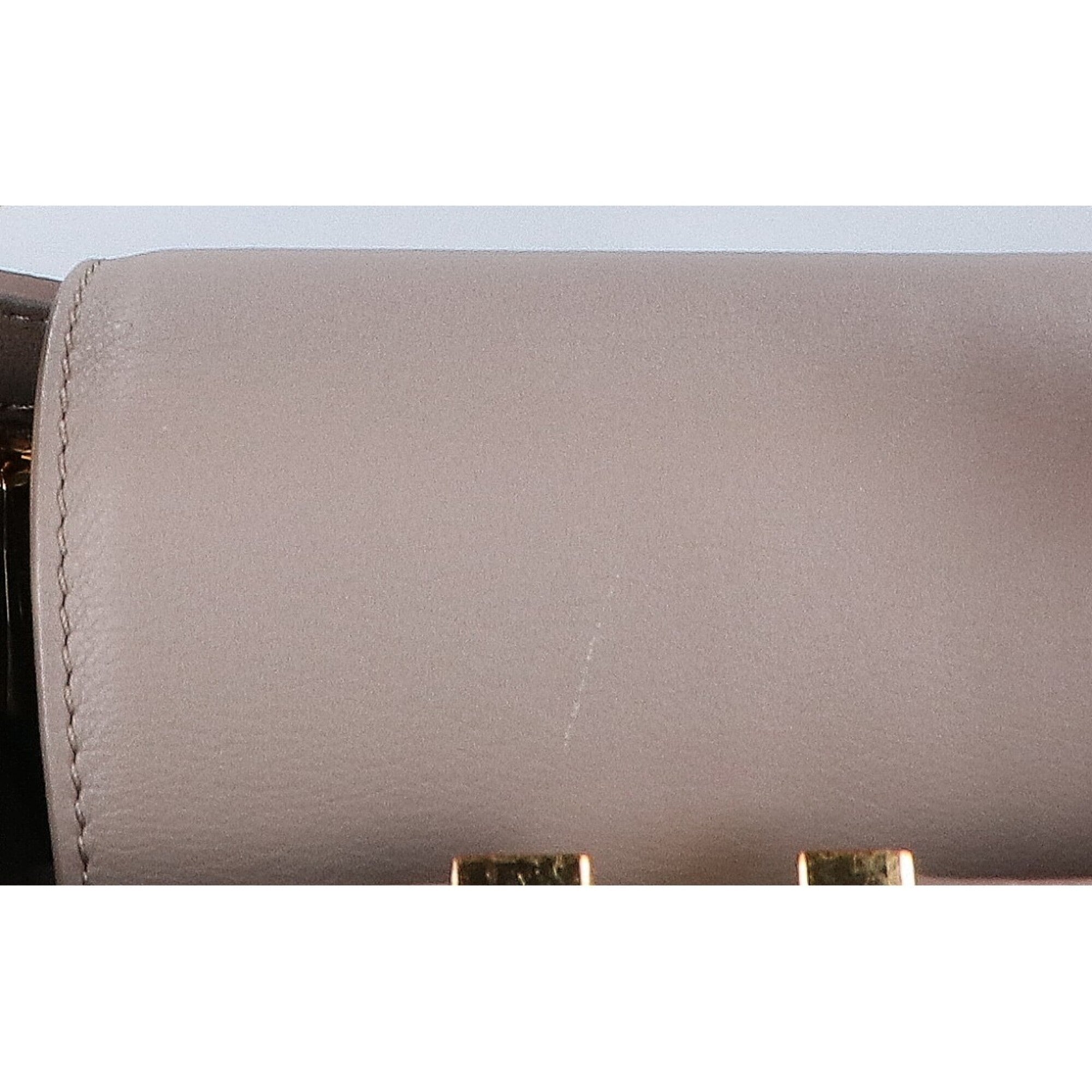 Louis Vuitton Taupe Leather Handbag (Pre-Owned)