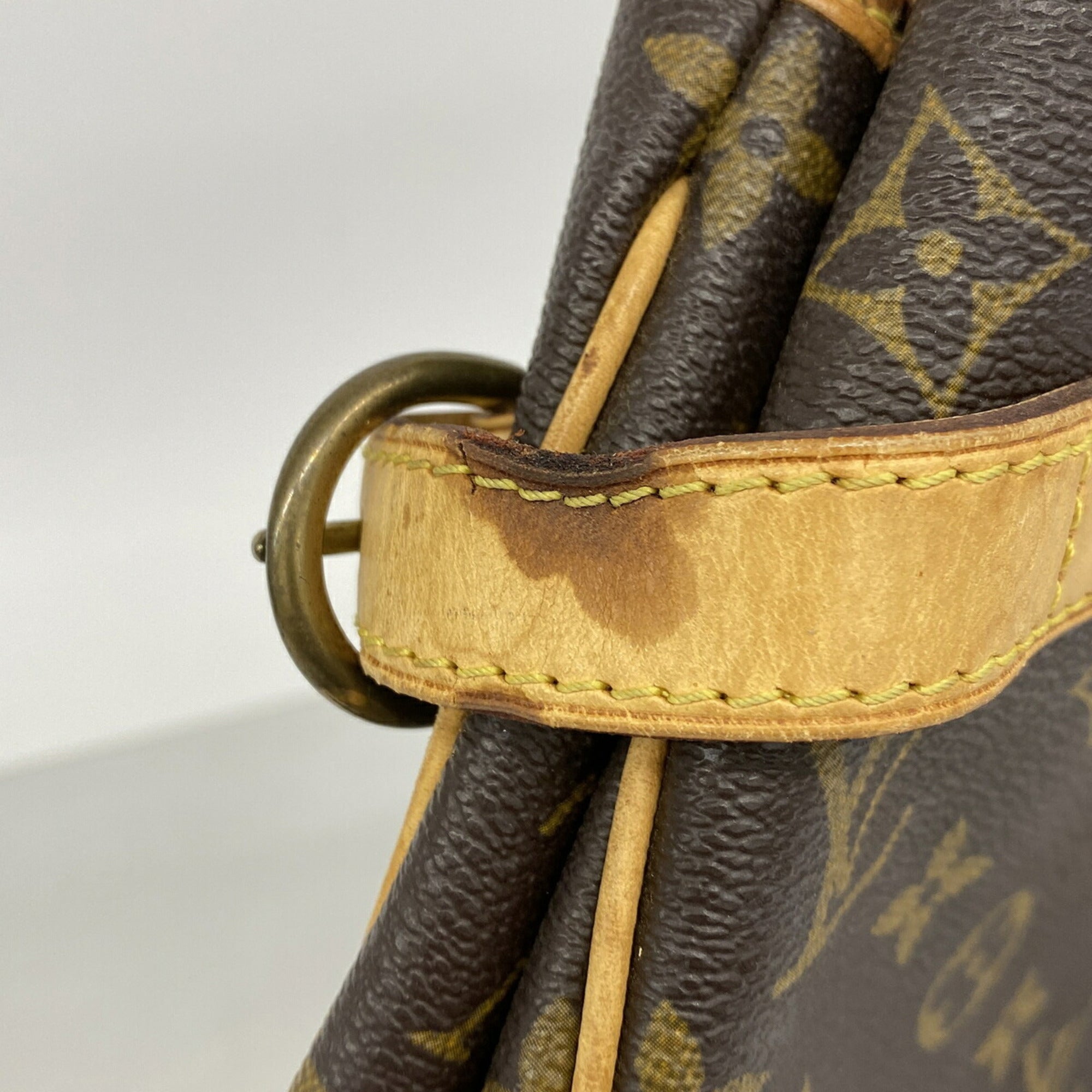 Louis Vuitton Brown Tote Bag (Pre-Owned)