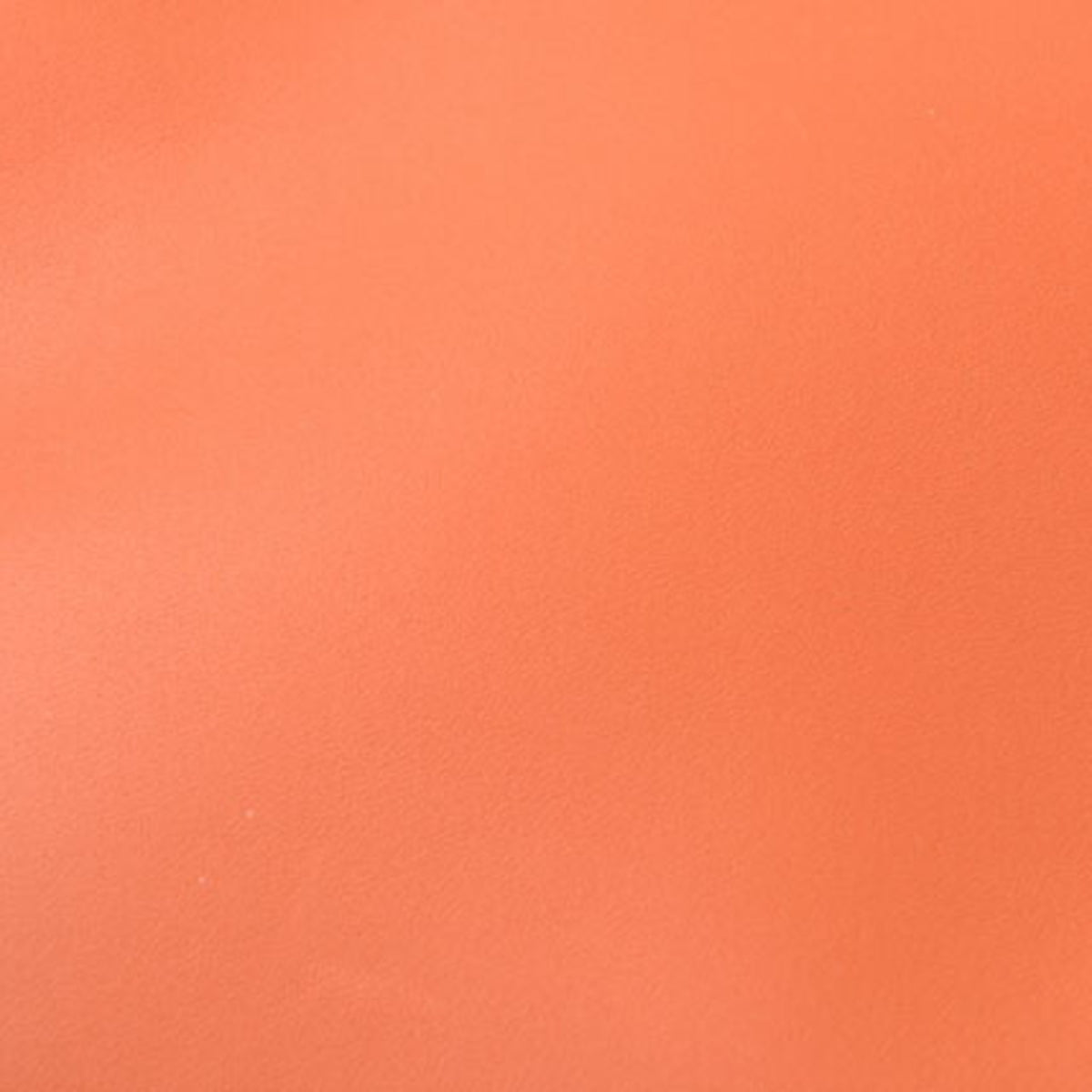 Loewe Coral Color Leather Clutch Bag (Pre-Owned)