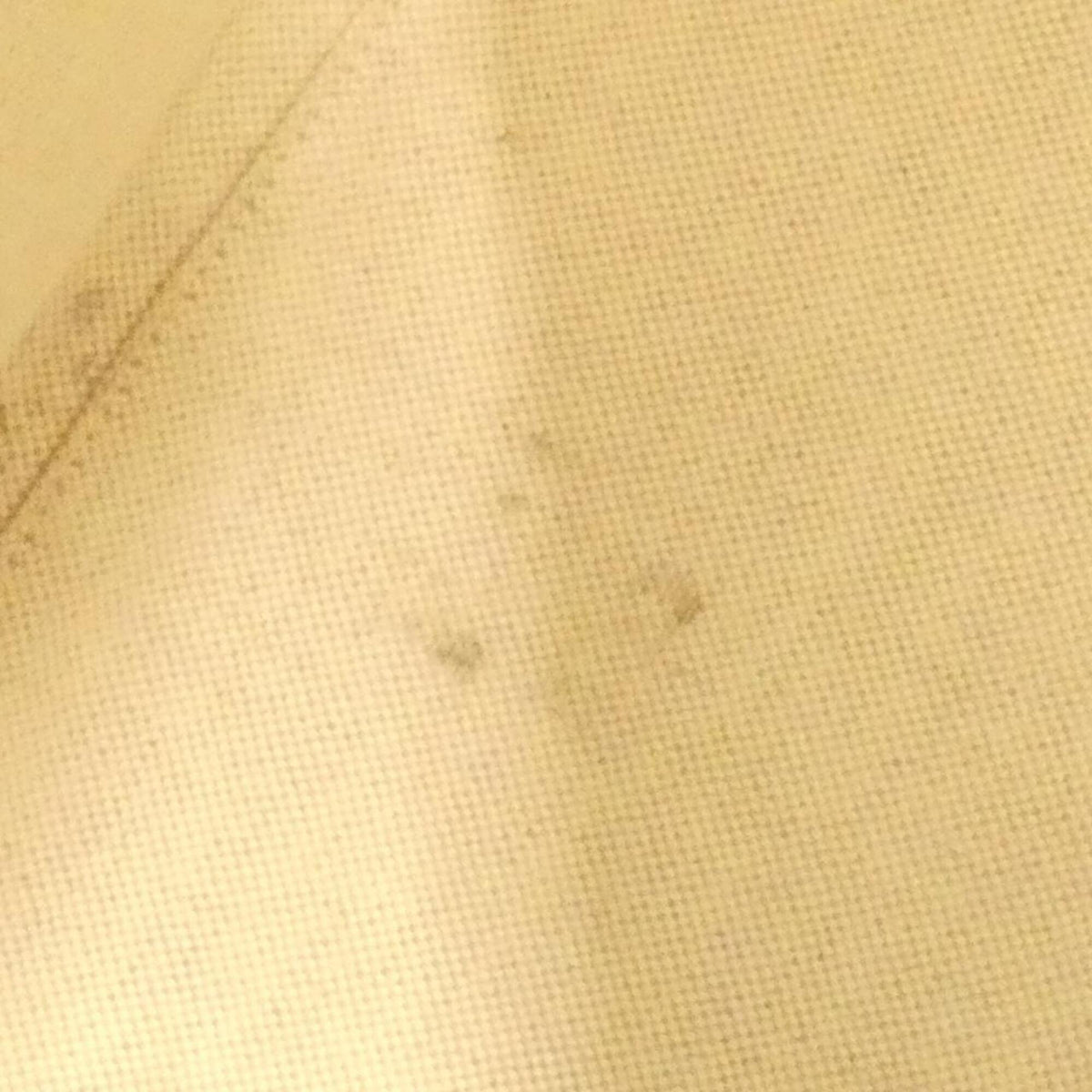 Gucci Beige Brown Gg Supreme Canvas Backpack (Pre-Owned)
