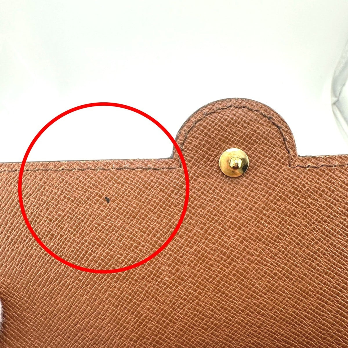 Louis Vuitton Monogram Monogram Fanny Pack (Pre-Owned)
