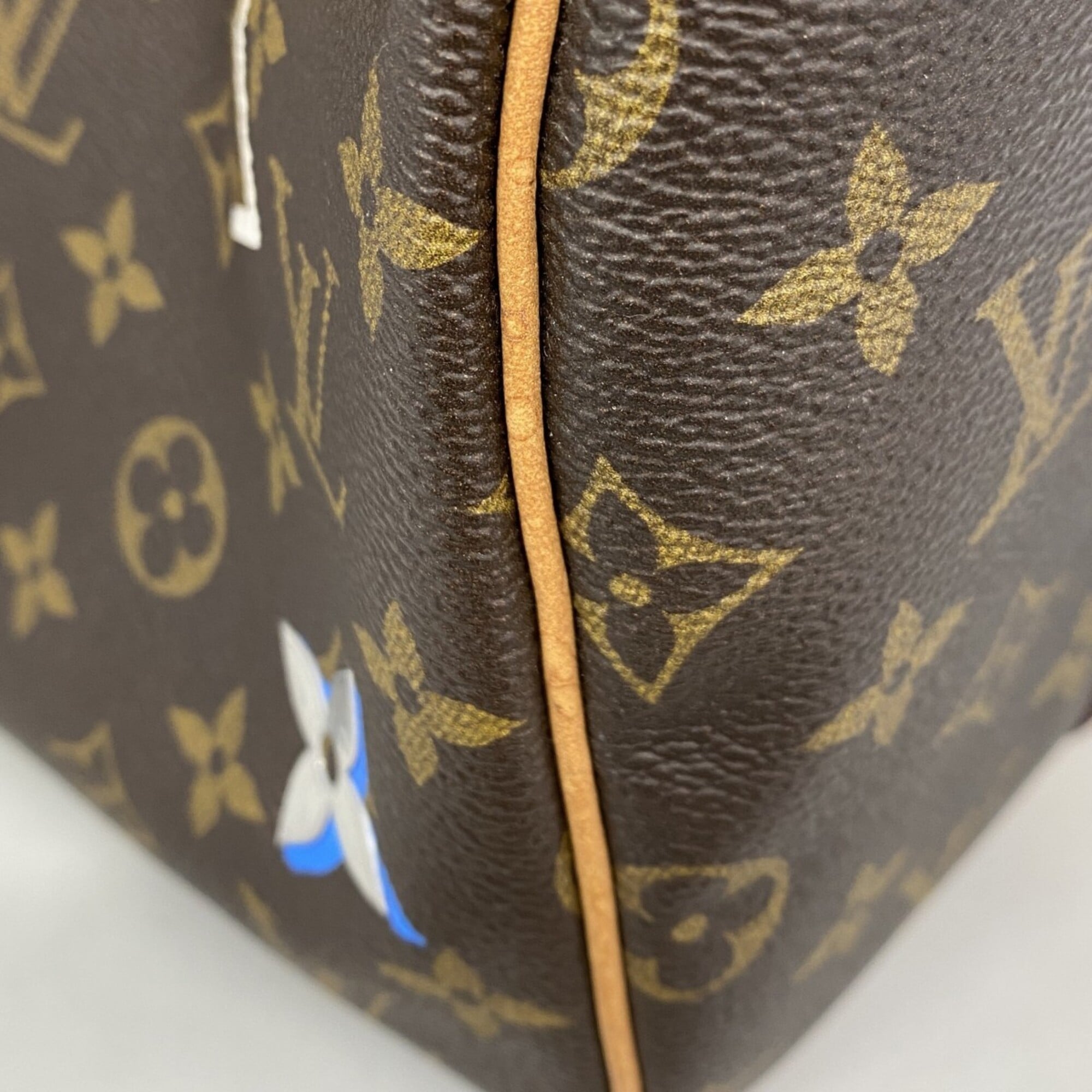 Louis Vuitton Brown Handbag (Pre-Owned)