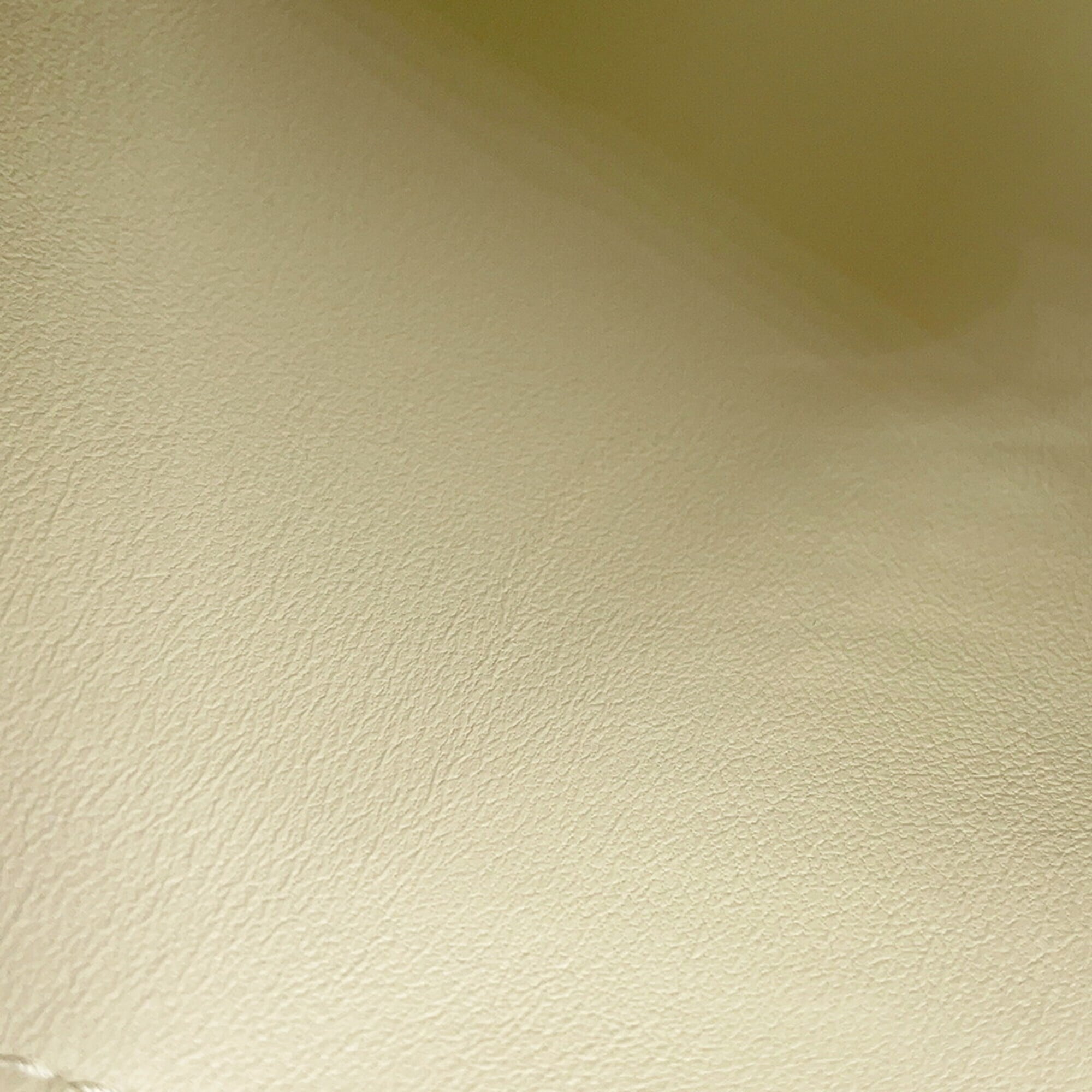 Bottega Veneta White Raffia Handbag Pouch (Pre-Owned)