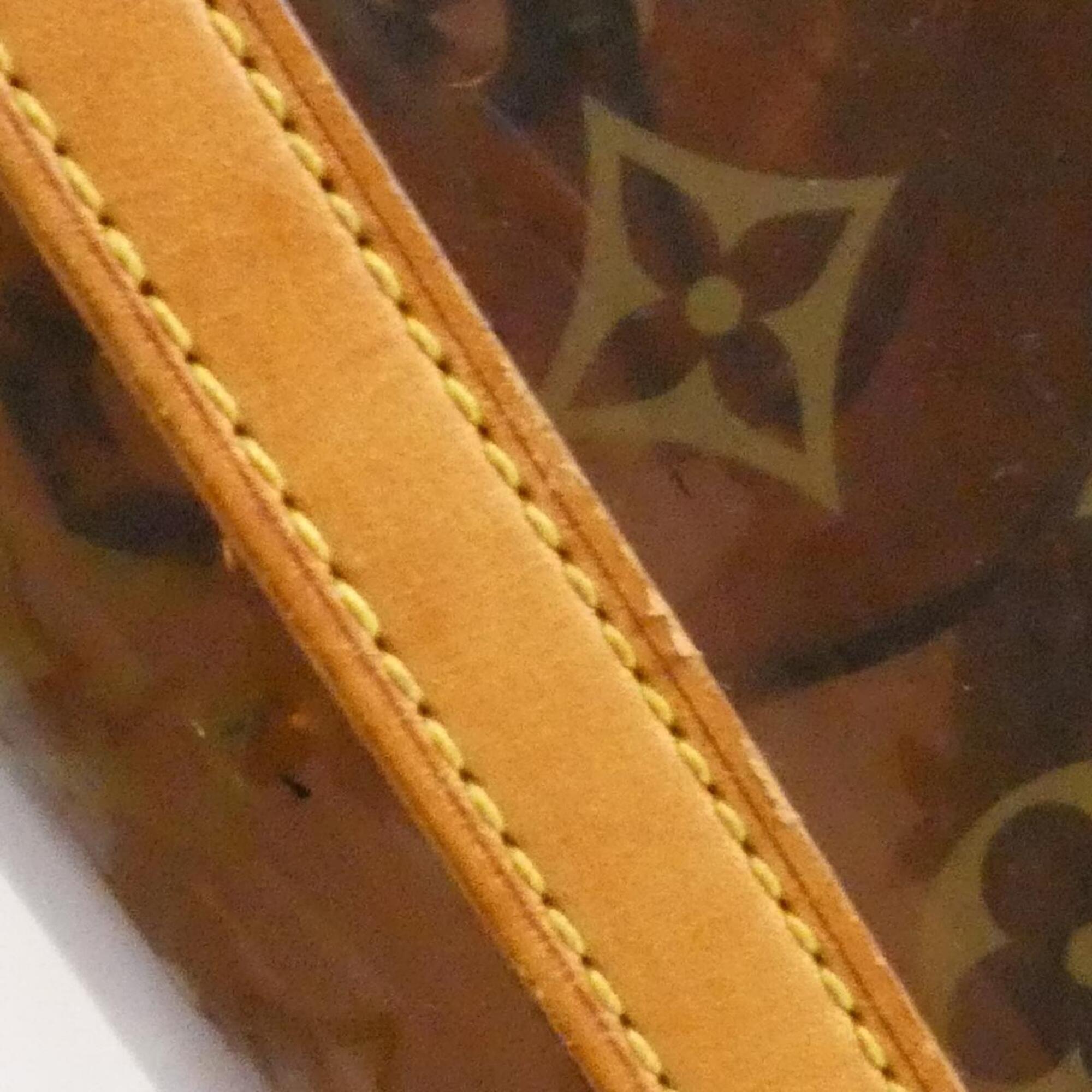 Louis Vuitton Brown Pvc Plastic Handbag (Pre-Owned)
