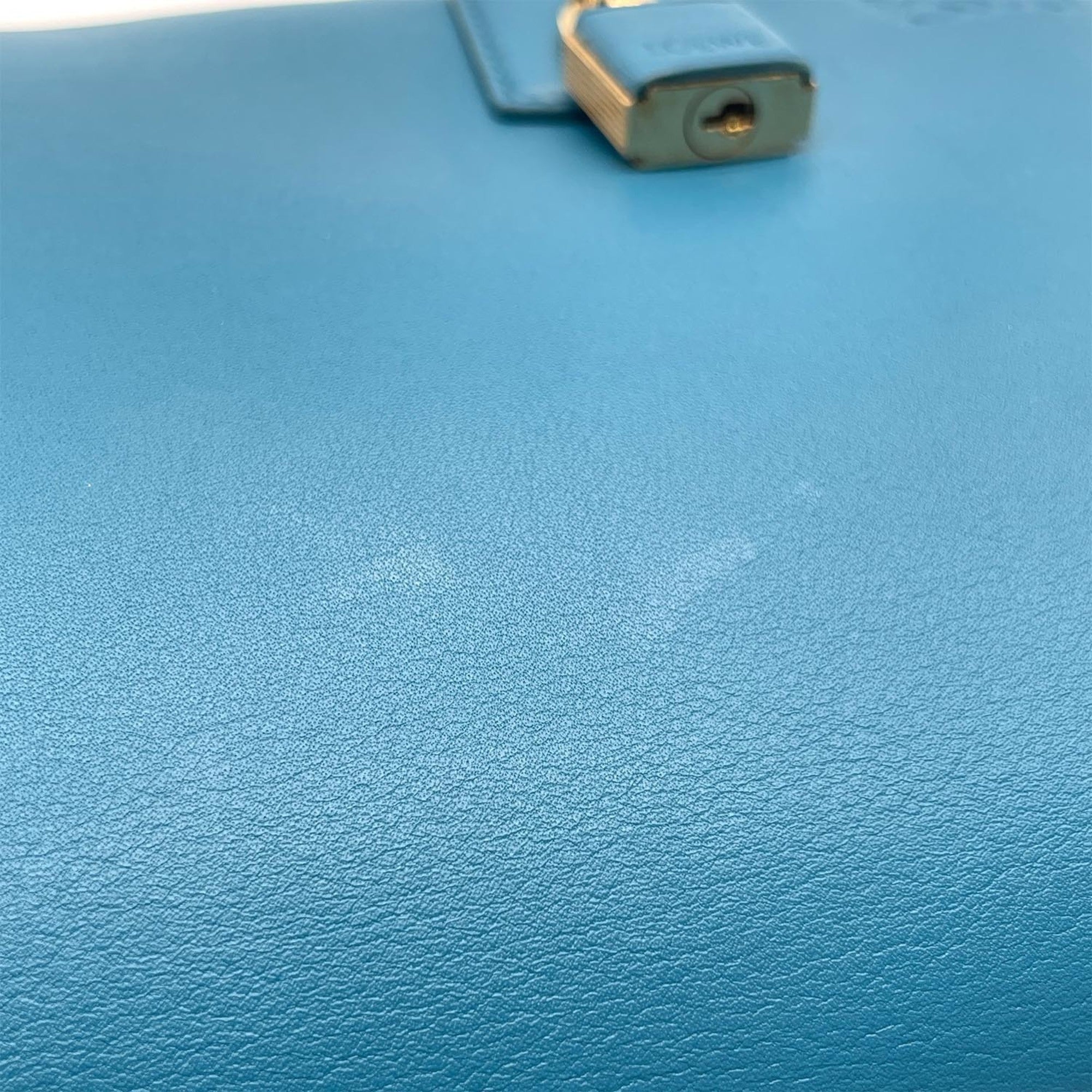 Loewe Blue Leather Shoulder Bag (Pre-Owned)