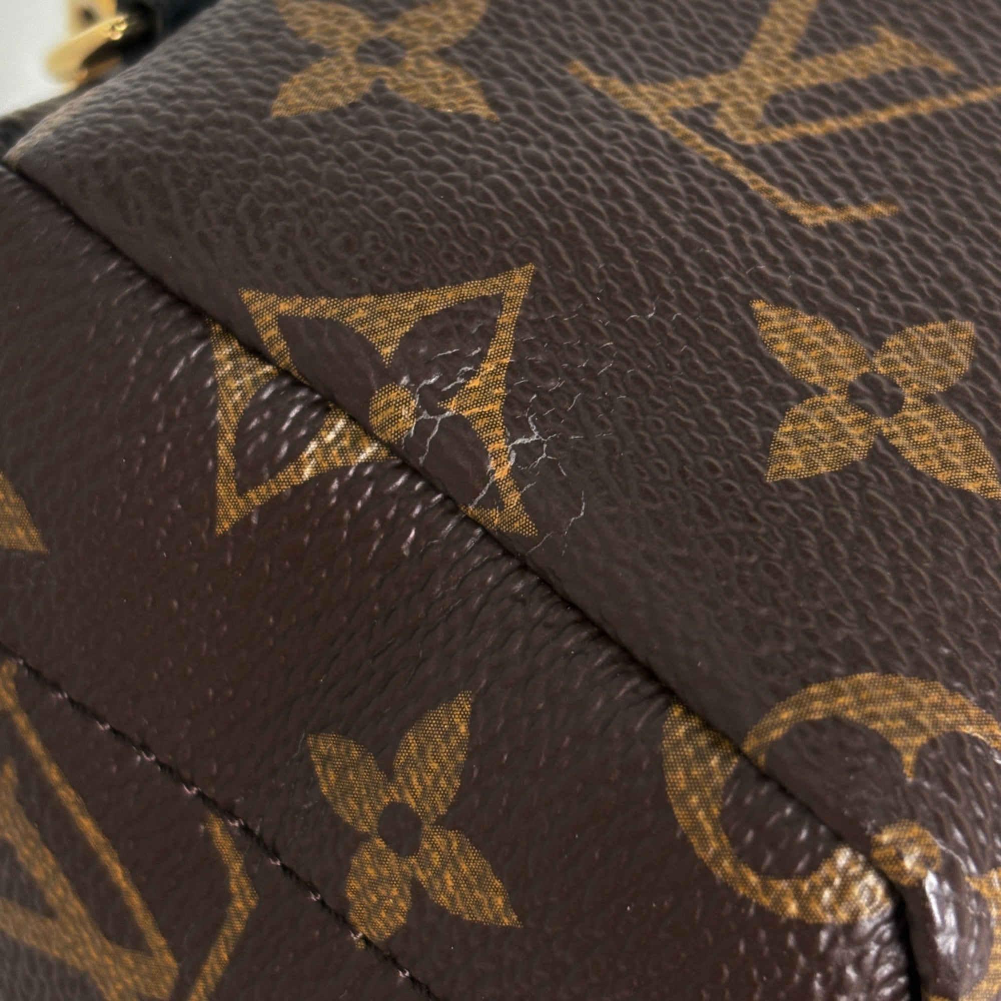 Louis Vuitton Brown Monogram Monogram Backpack (Pre-Owned)