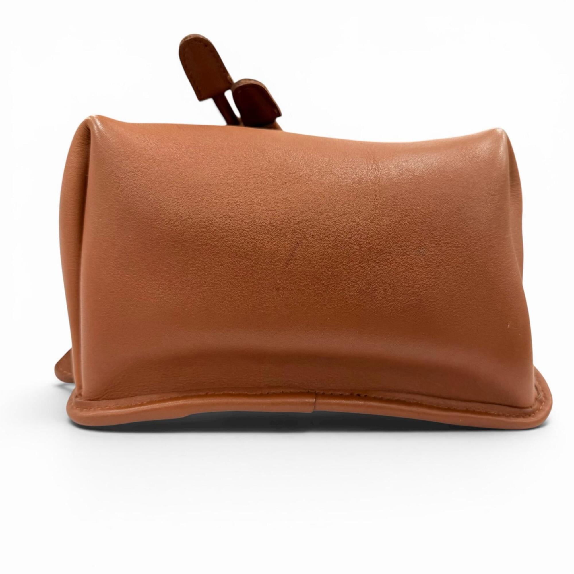 Coach Brown Leather Backpack (Pre-Owned)