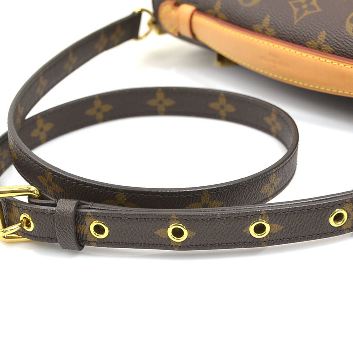 Louis Vuitton Brown Monogram Monogram Pochette Shoulder Bag (Pre-Owned)