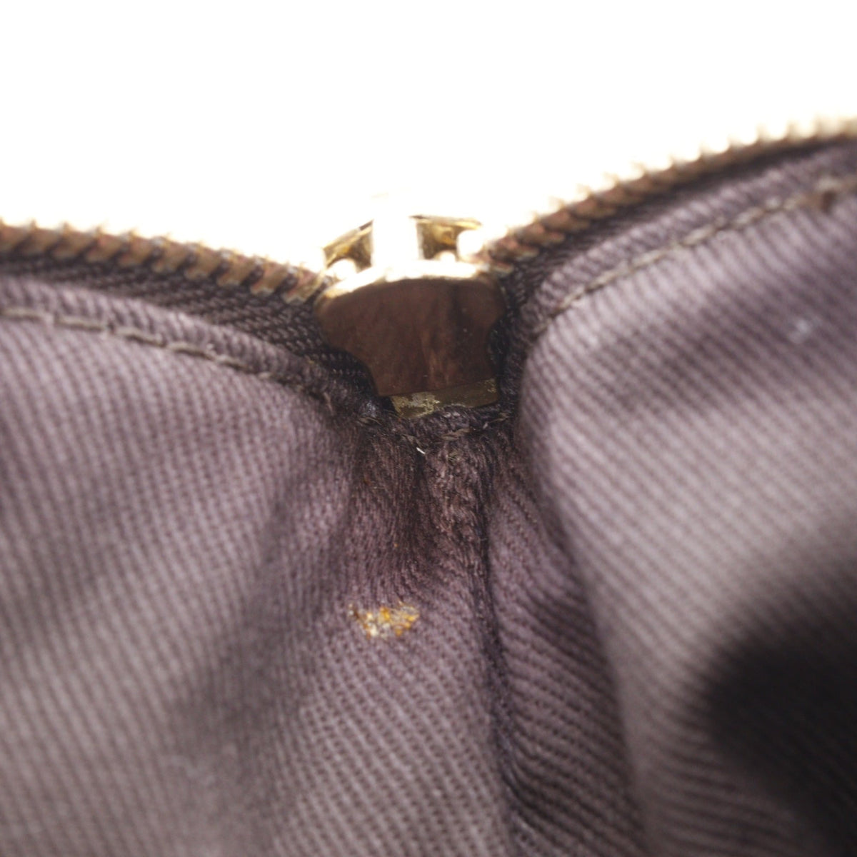 Celine Brown Nylon Canvas Leather Tote Bag (Pre-Owned)