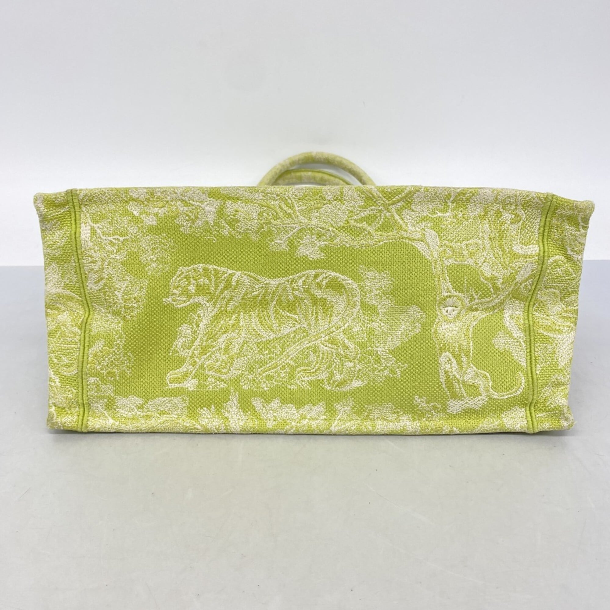 Christian Dior Light Green Canvas Tote Bag (Pre-Owned)