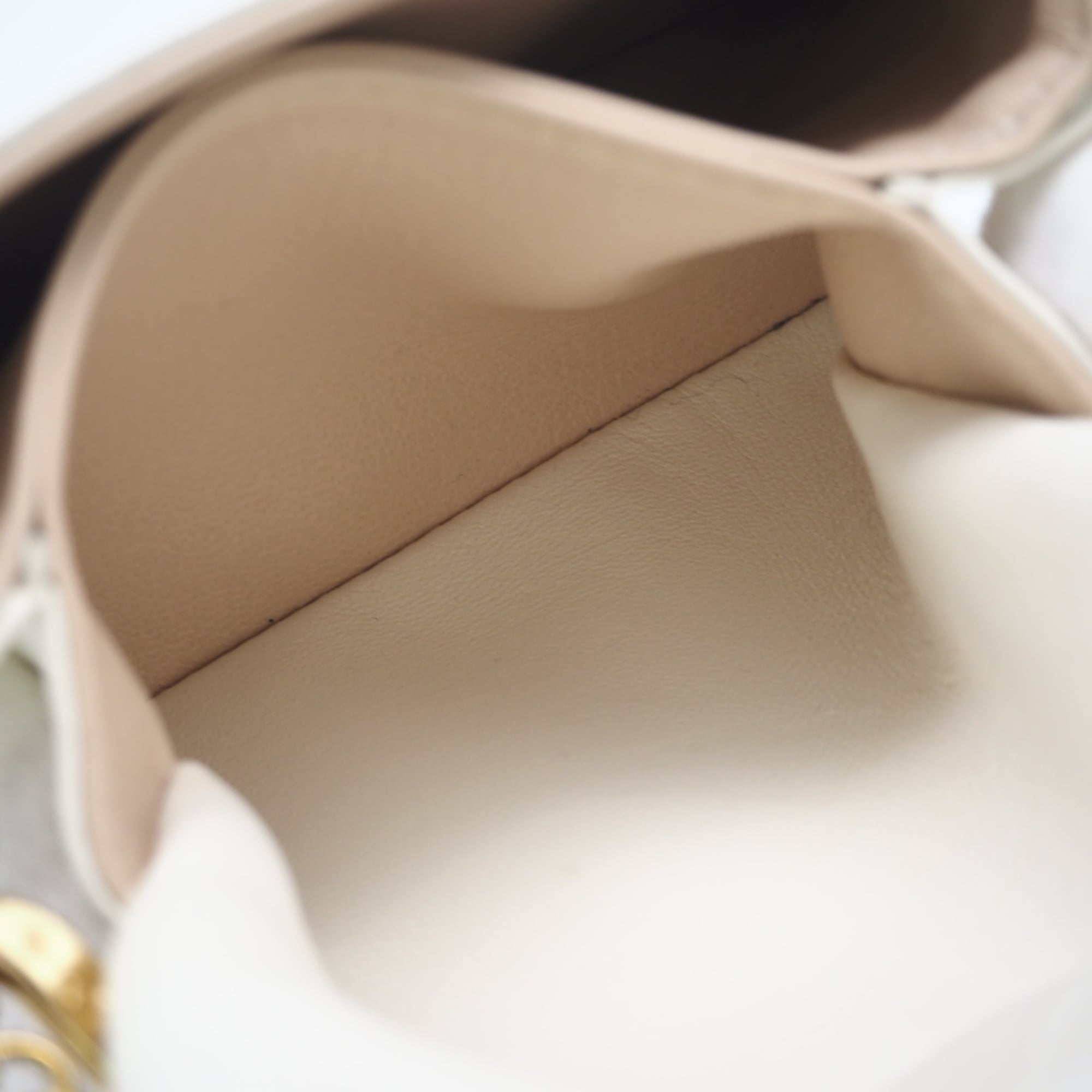 Louis Vuitton Multi-Color Leather Shoulder Bag (Pre-Owned)