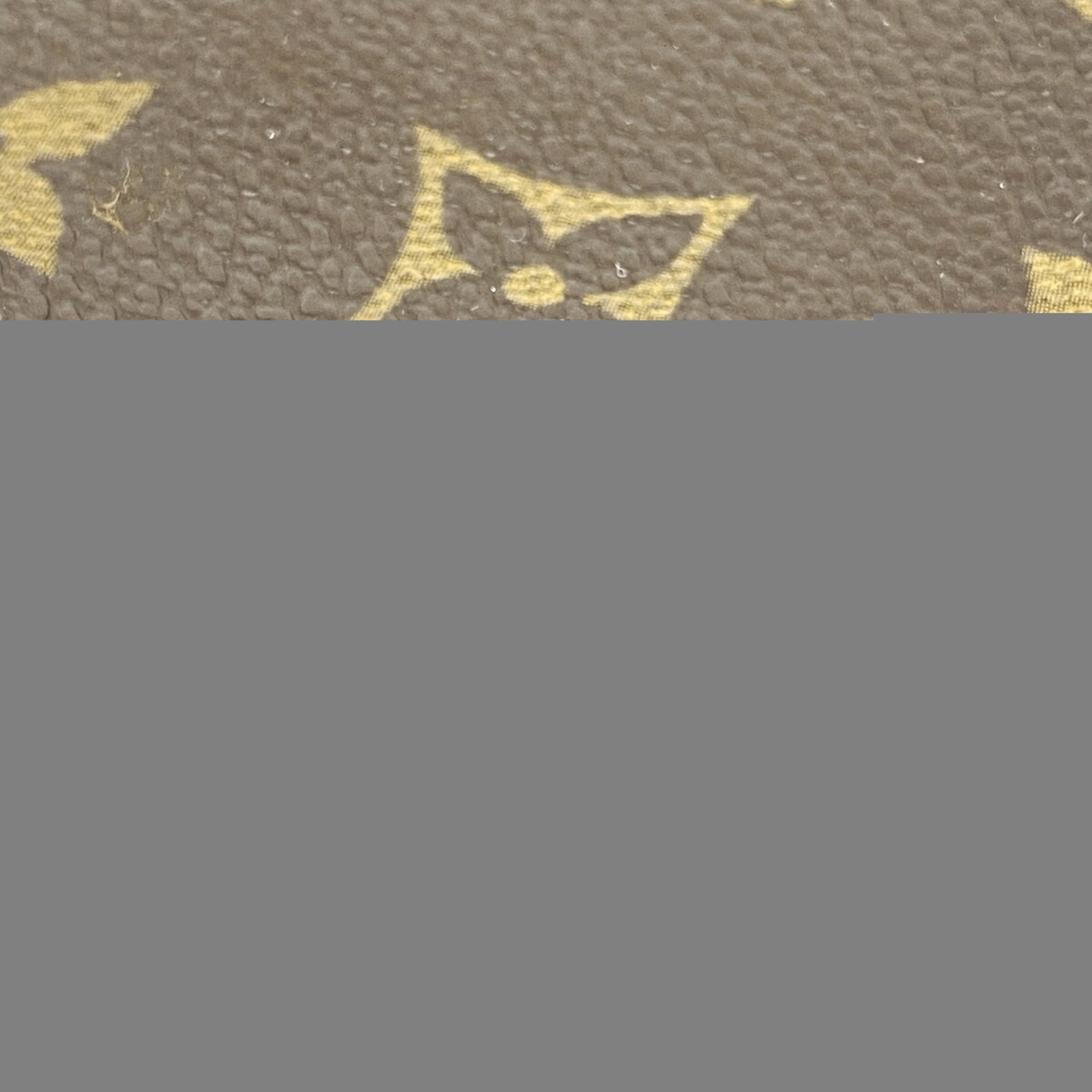 Louis Vuitton Brown Pouch (Pre-Owned)